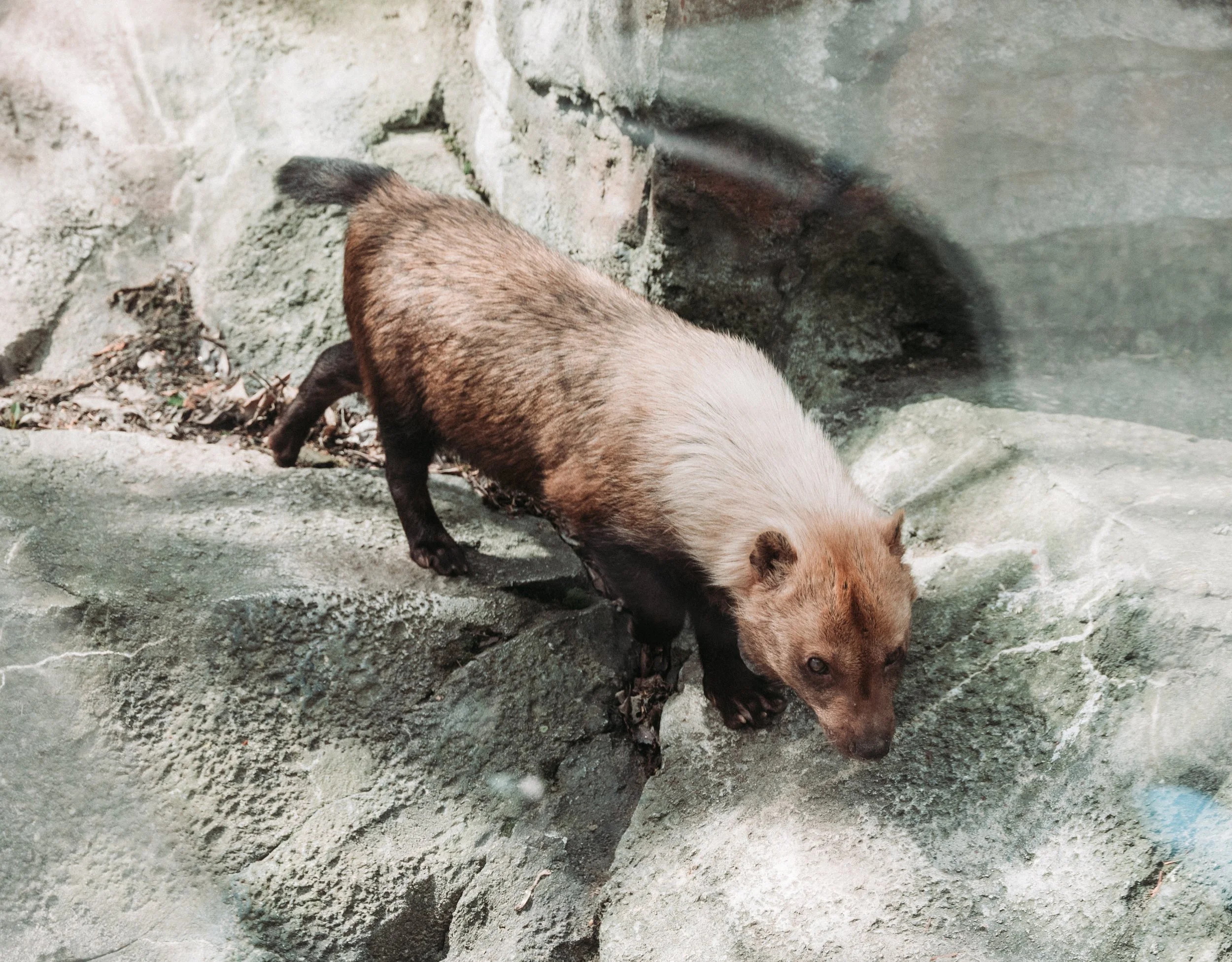 DSC_1065.jpg