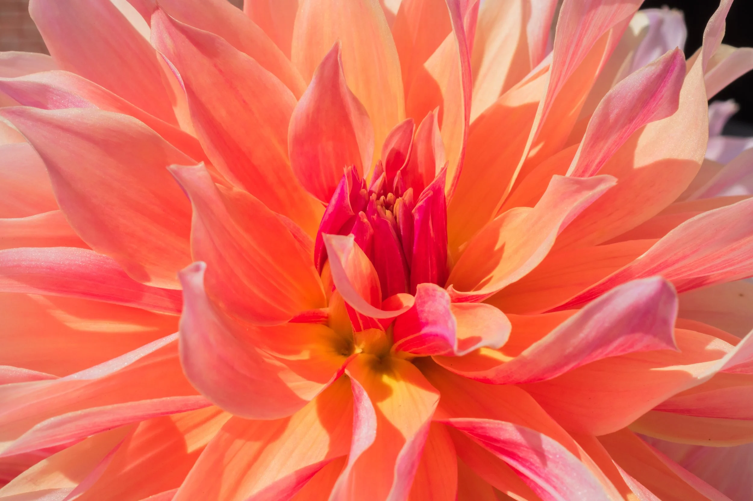 Elliana Jusczak Nature