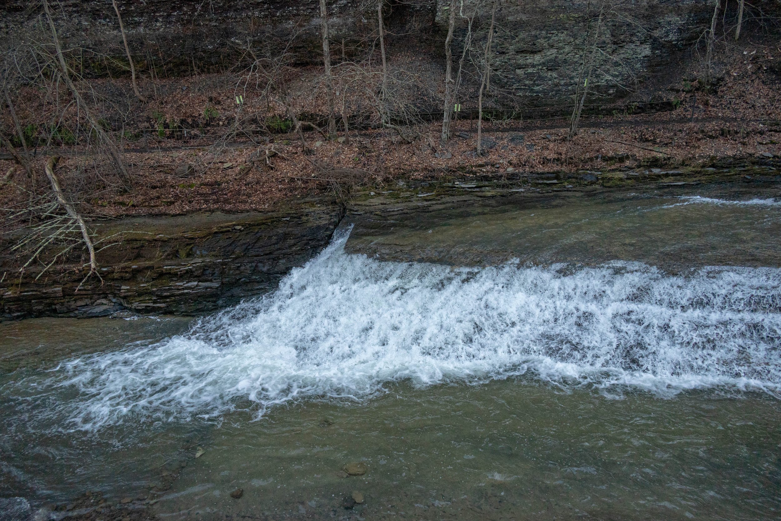 15_DSC_1935-3.jpg