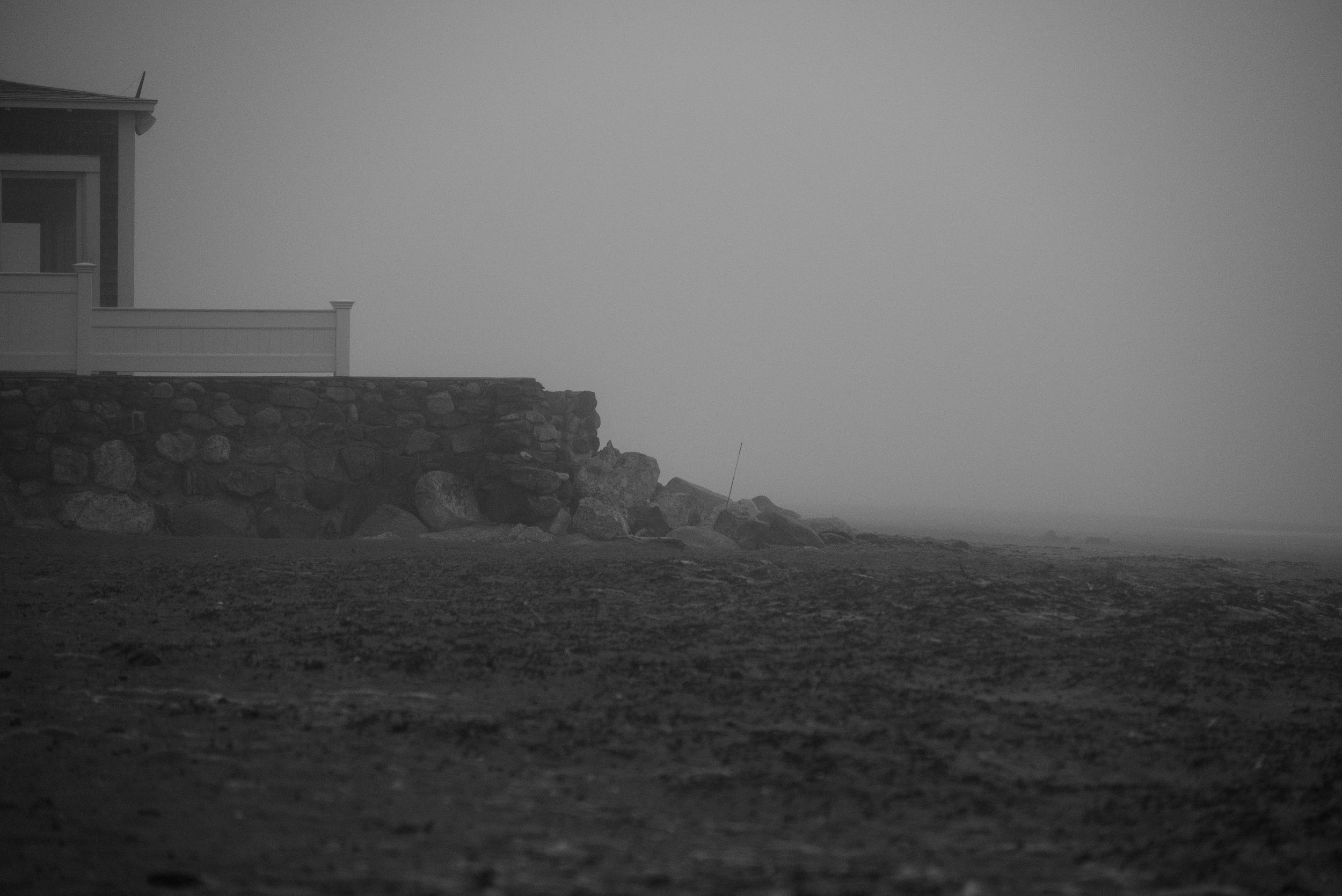 DSC_1868.jpg