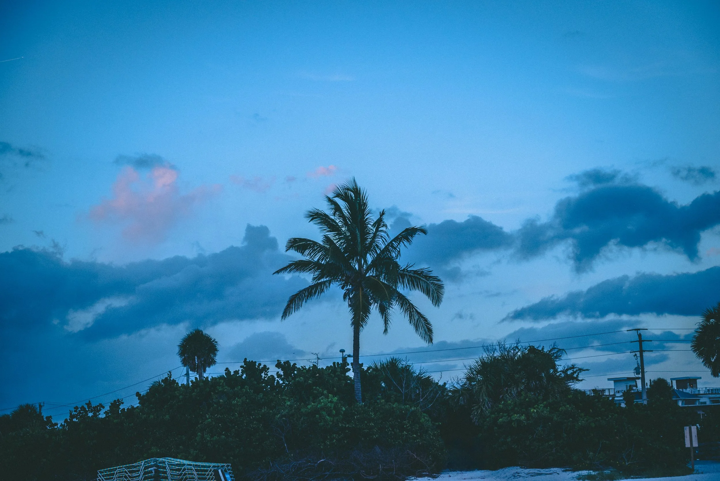 01_DSC_8052 copy.jpg