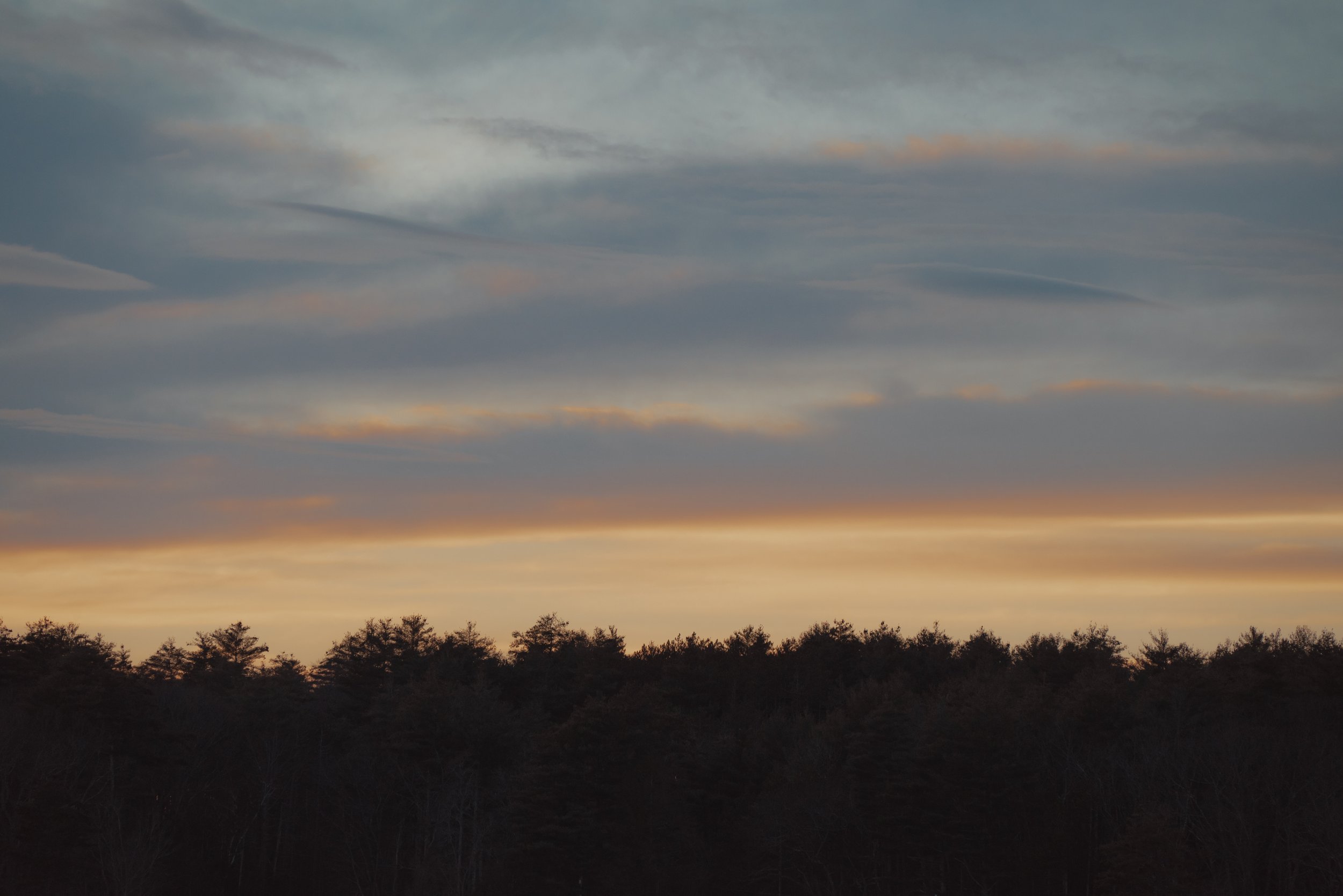 4_DSC_5661.jpg