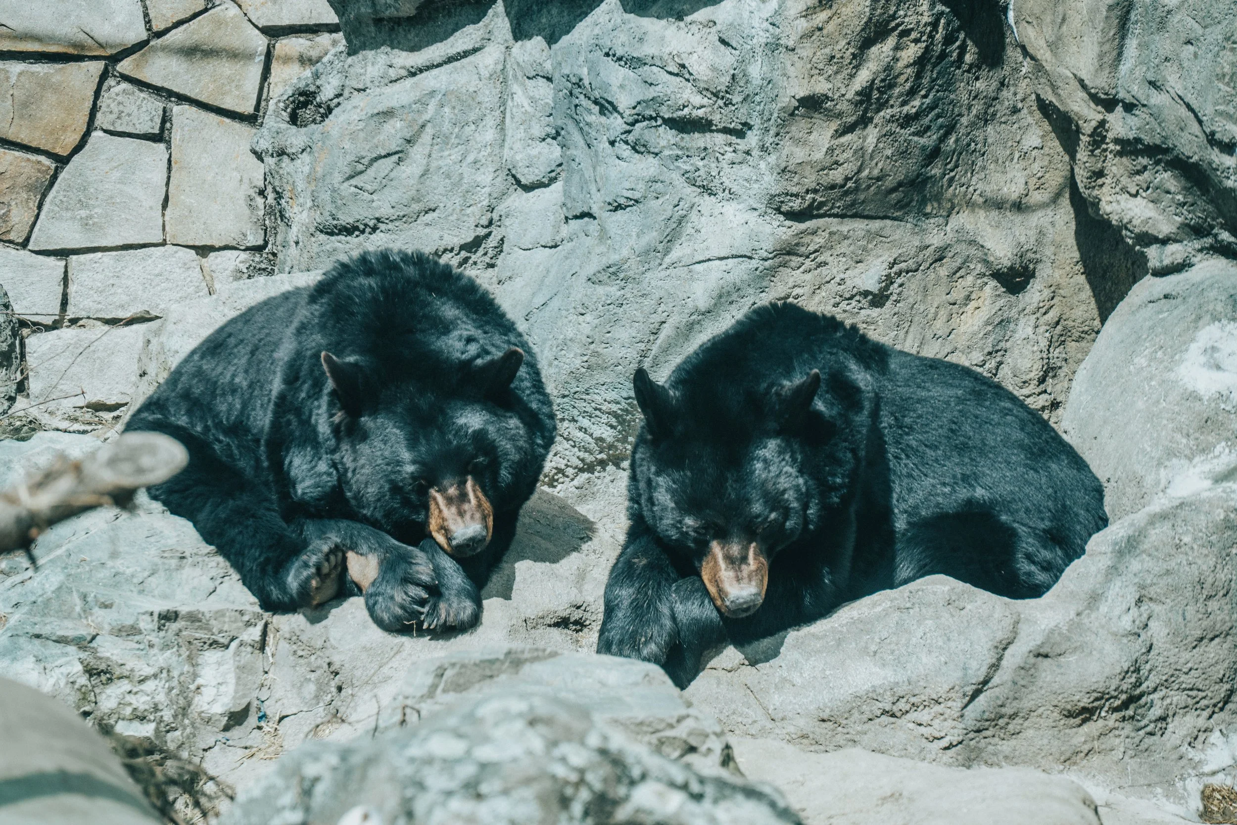 DSC_3952.jpg