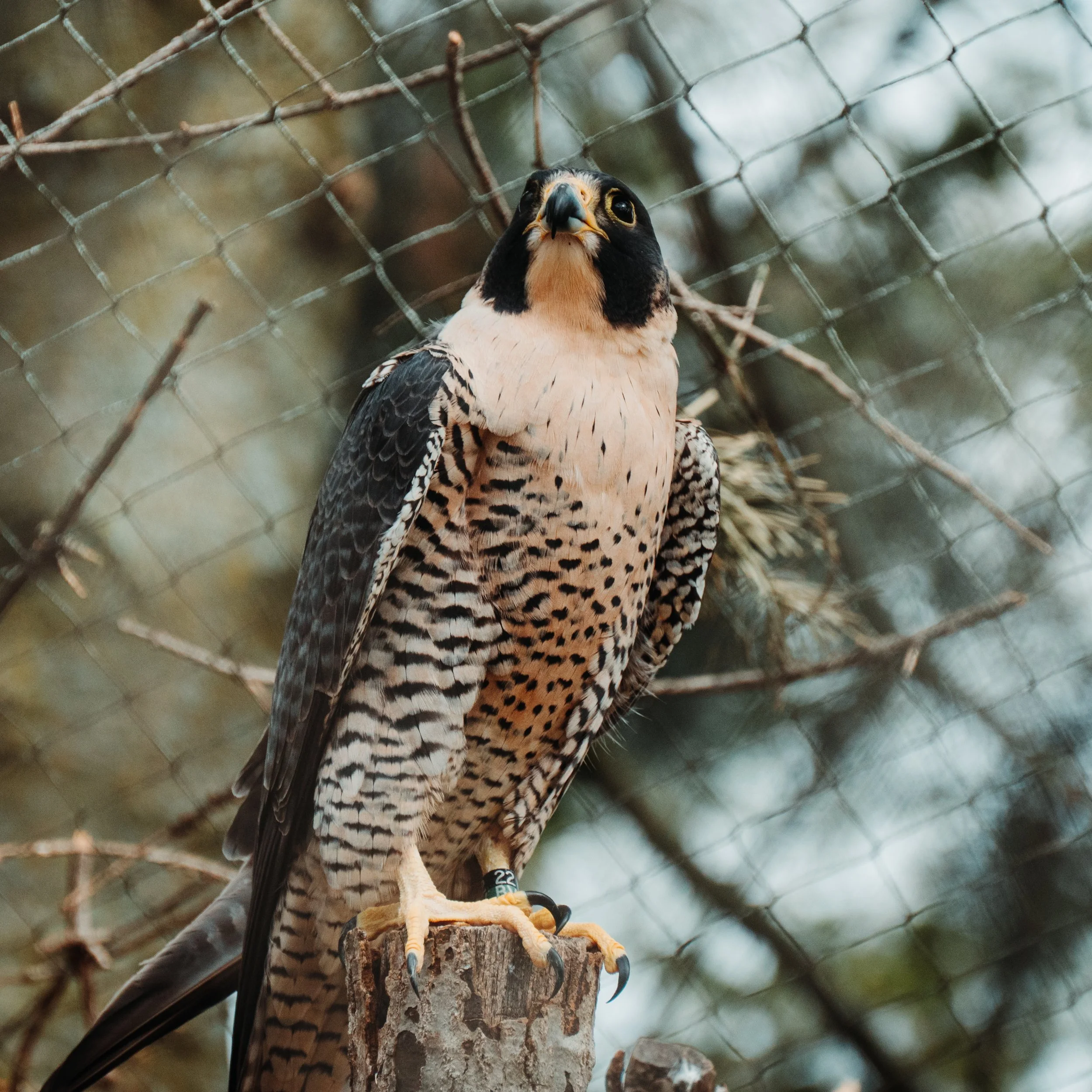 DSC_3598.jpg