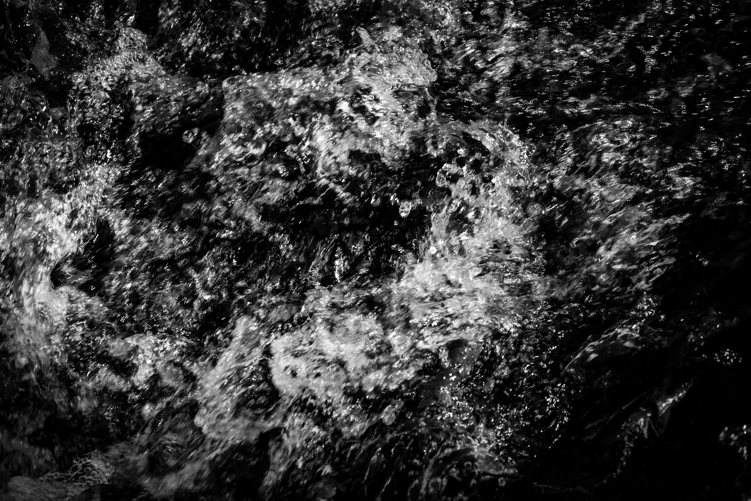 4_DSC_0168.jpg