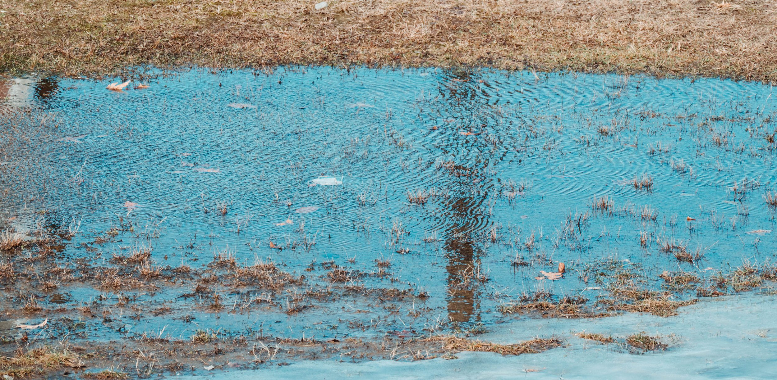 DSC_0155-3.jpg