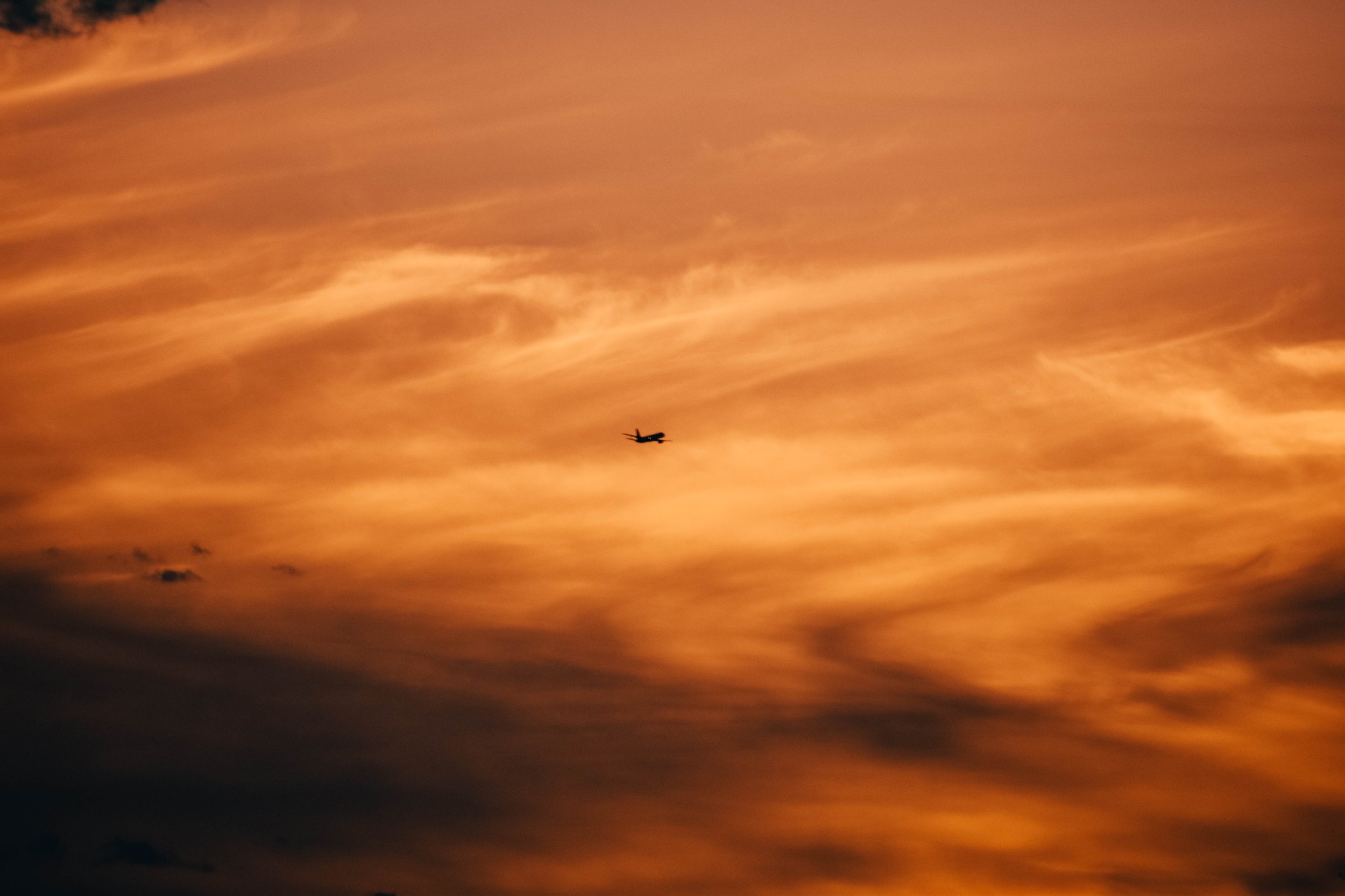 9DSC_0366.jpg