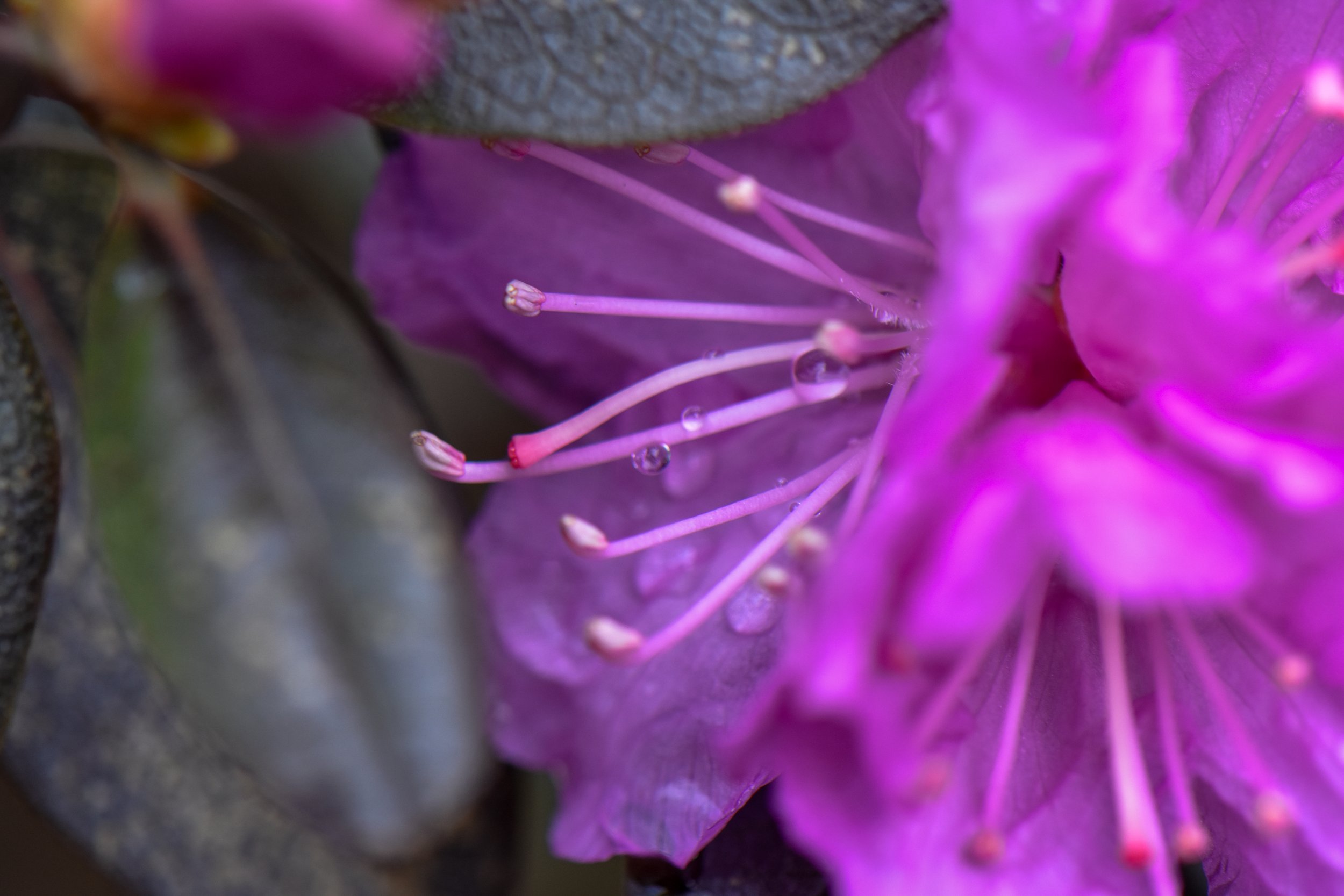 _DSC0017.jpg