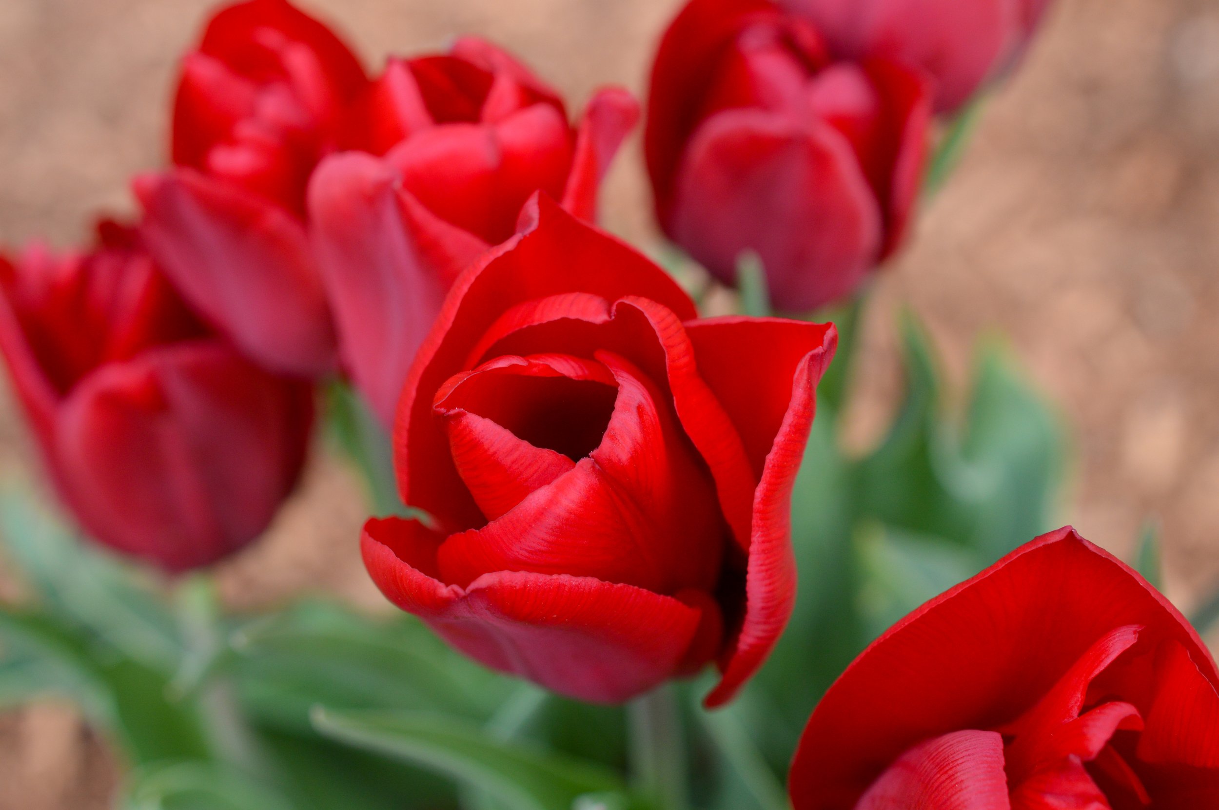 DSC_0005.jpg