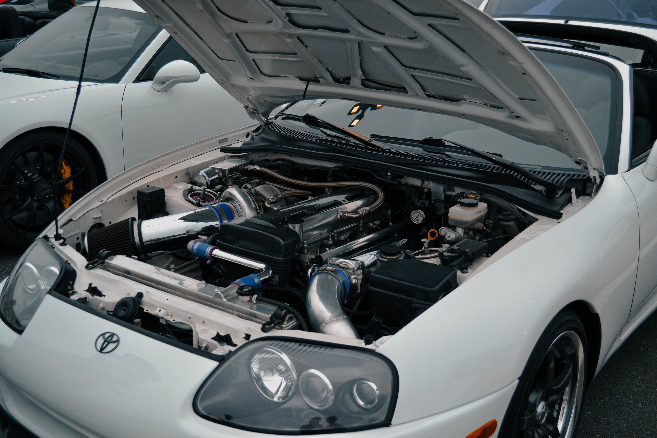 6_DSC_0631.jpg