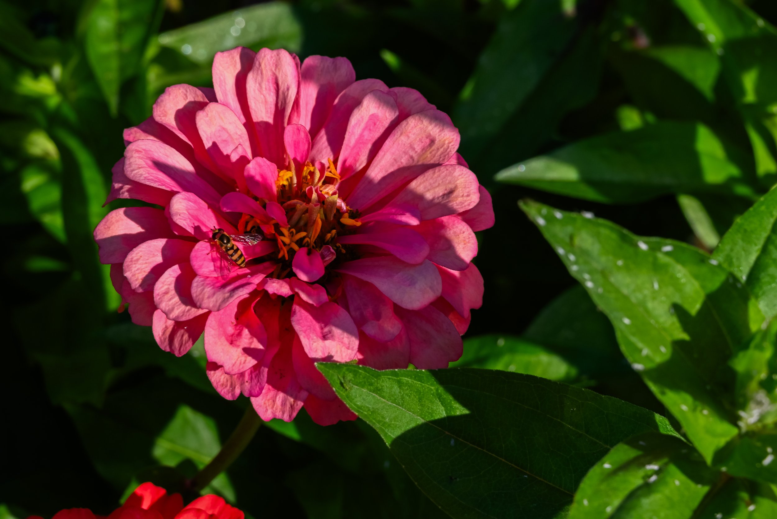 11_DSC_0045.jpg