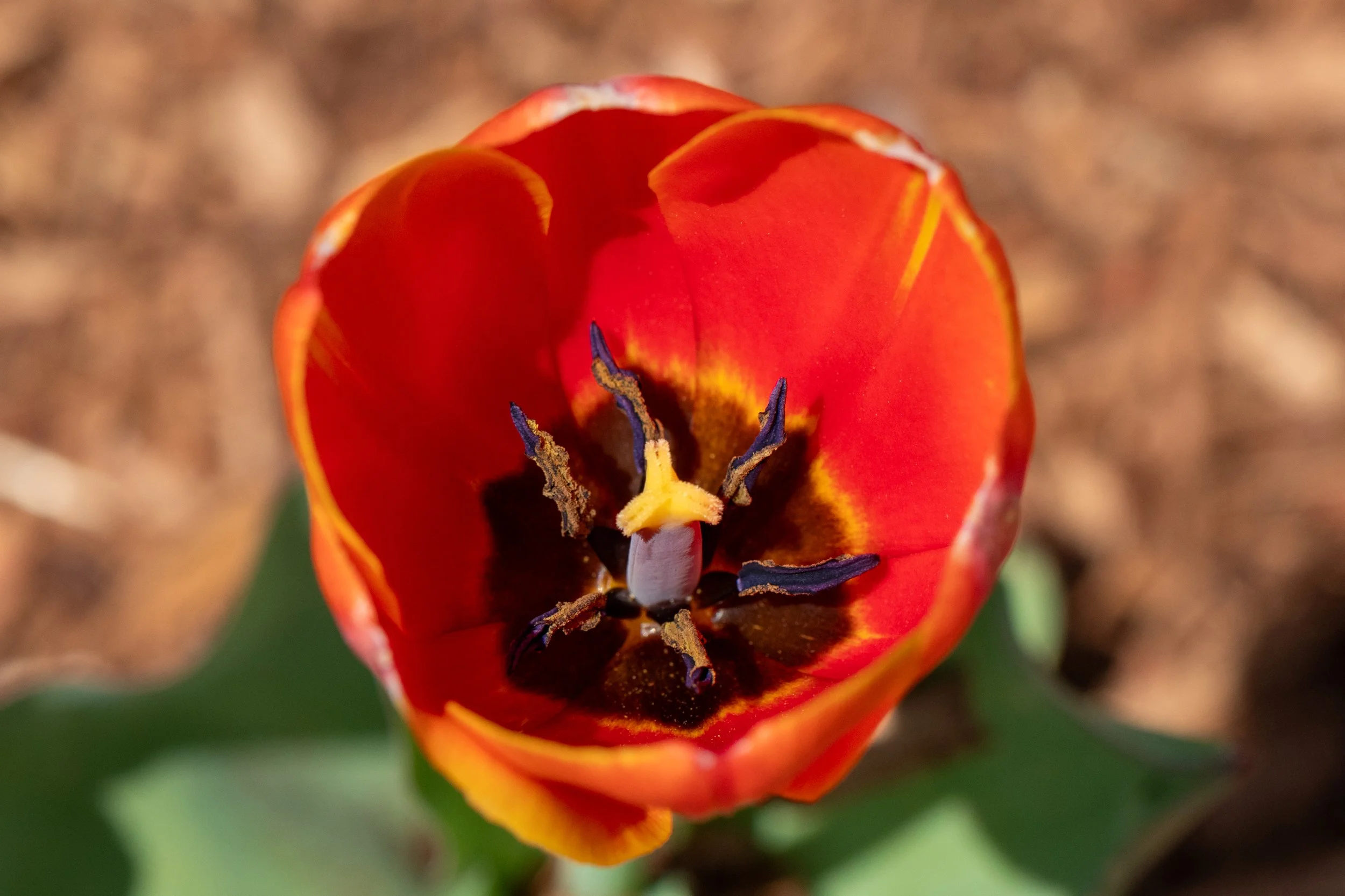 DSC_8805.jpg