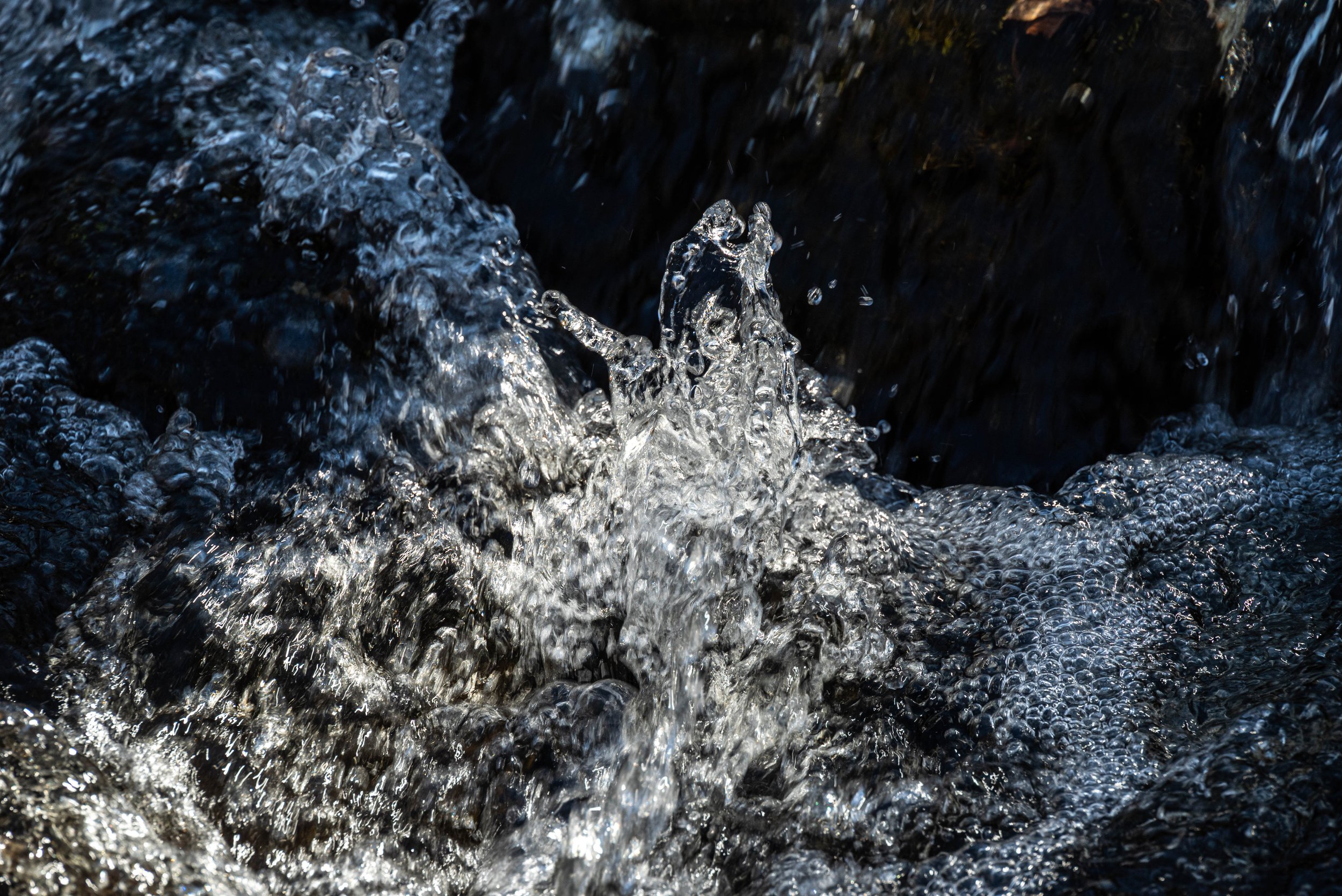 1_DSC_2500-2.jpg