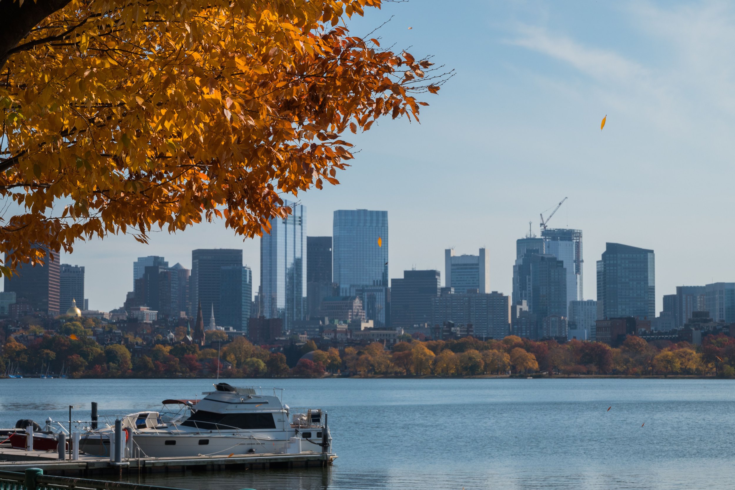 5_DSC_0947.jpg