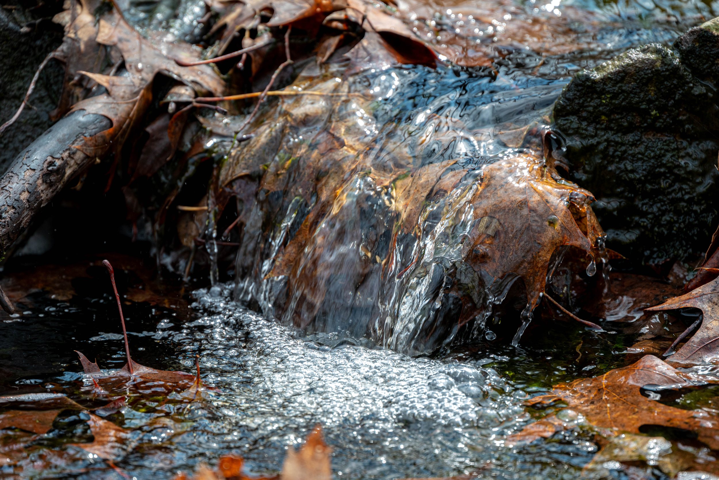 6_DSC_0931-3.jpg