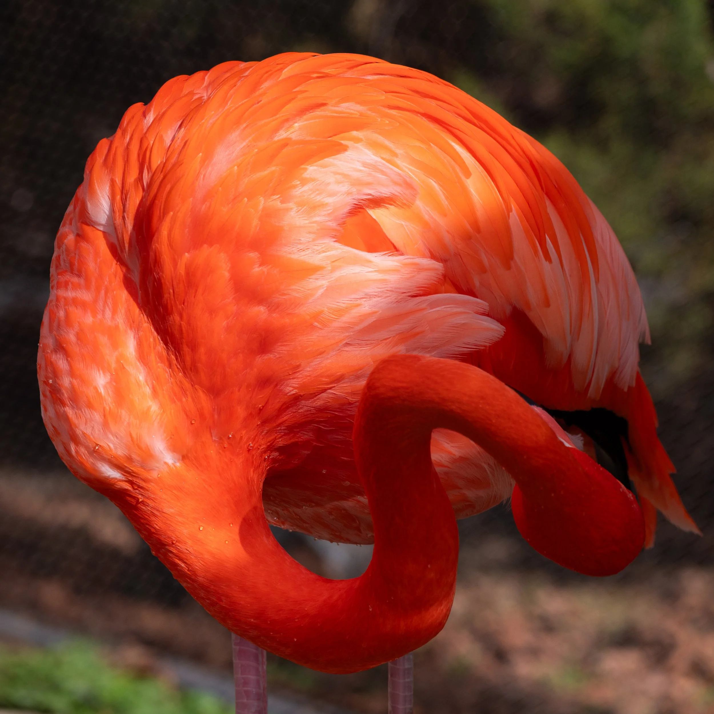 DSC_8923.jpg