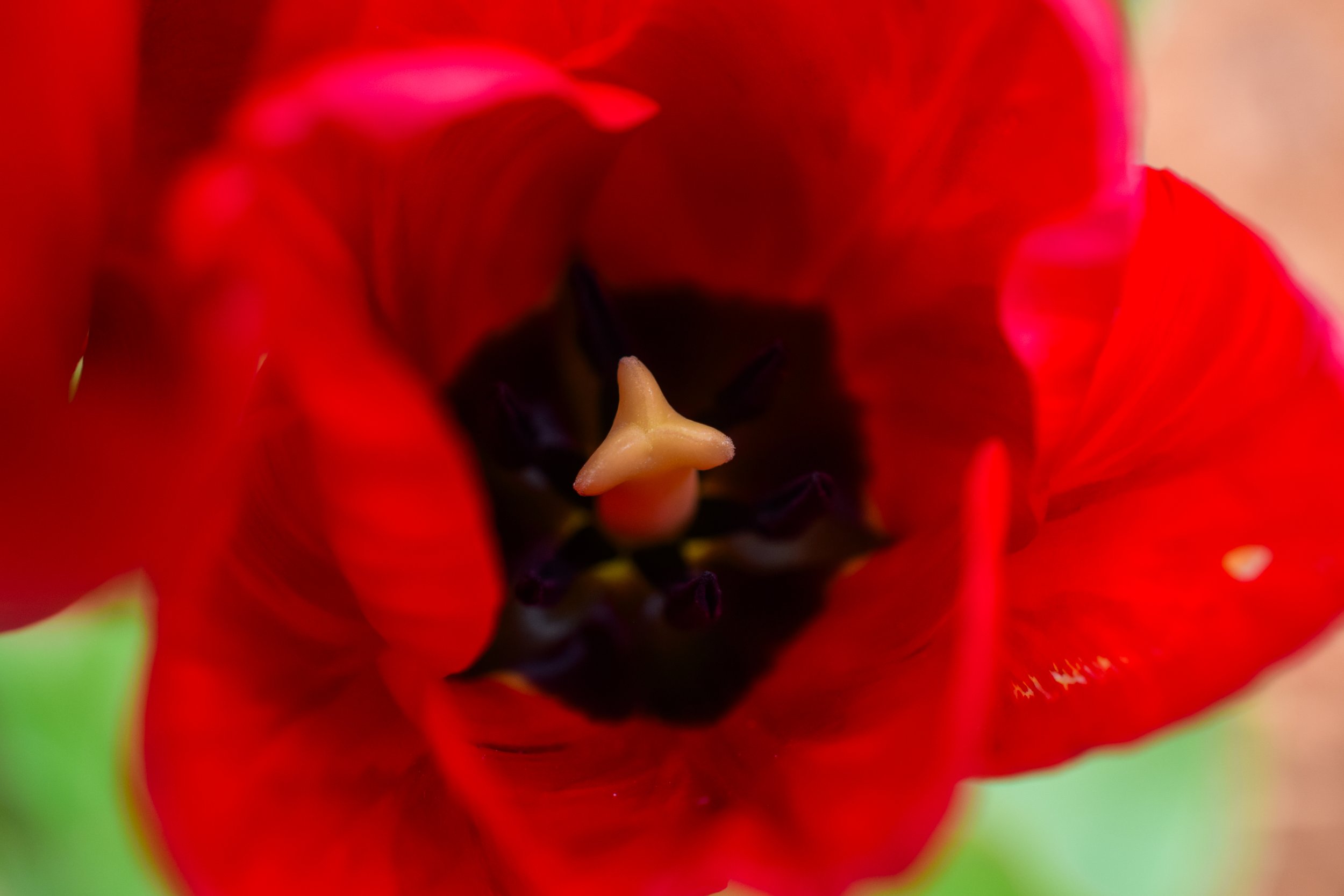 21_DSC_0005.jpg