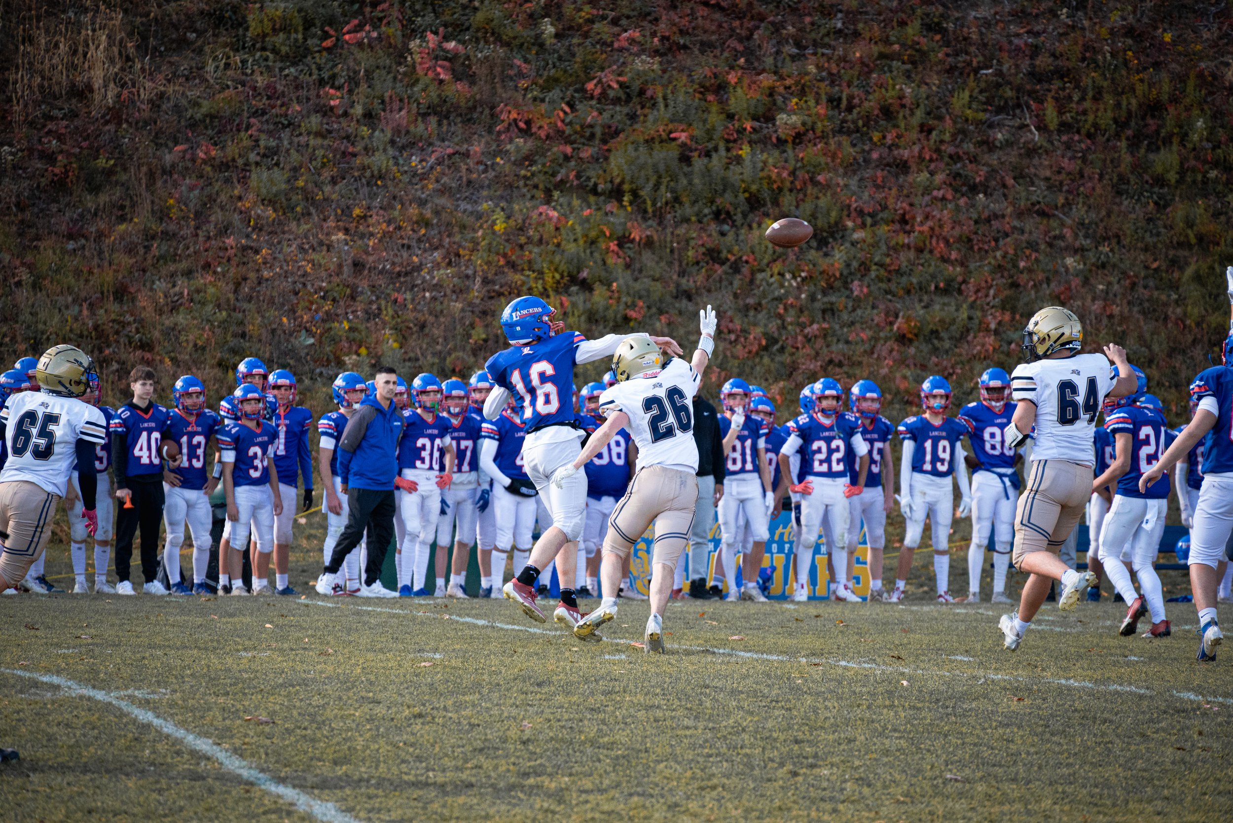 DSC_3742.jpg