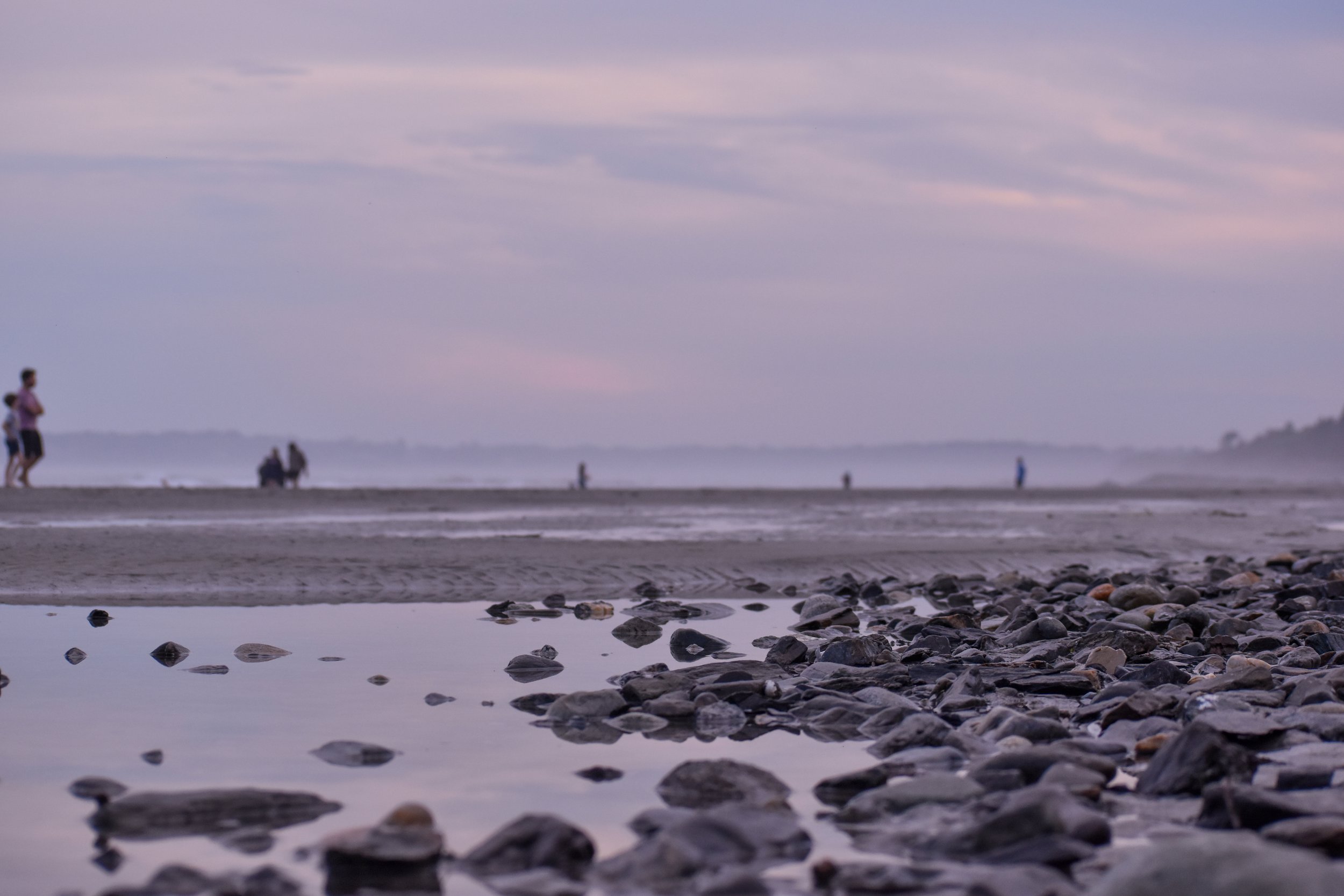 DSC_0994.jpg