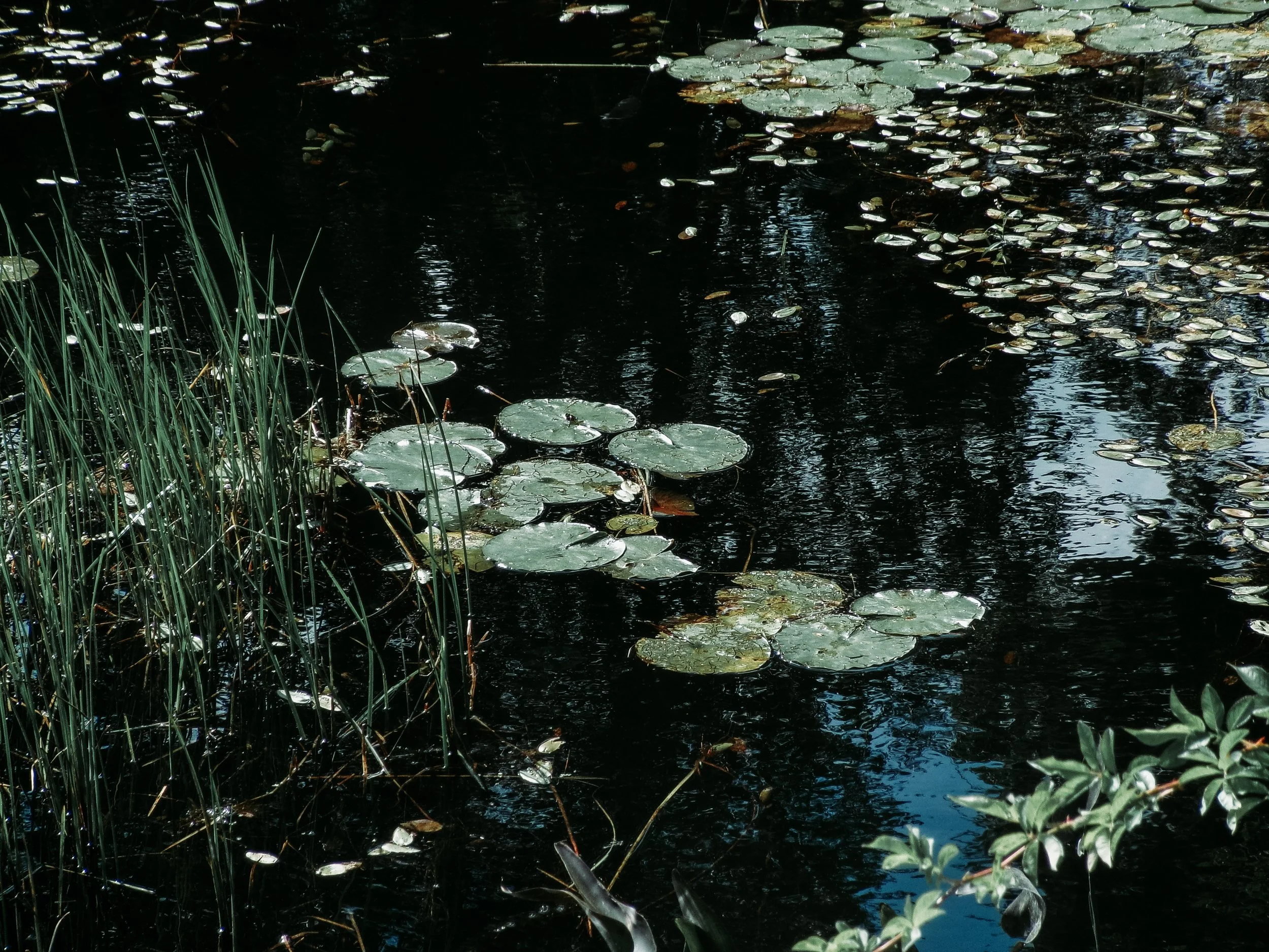 100_0623-2.jpg