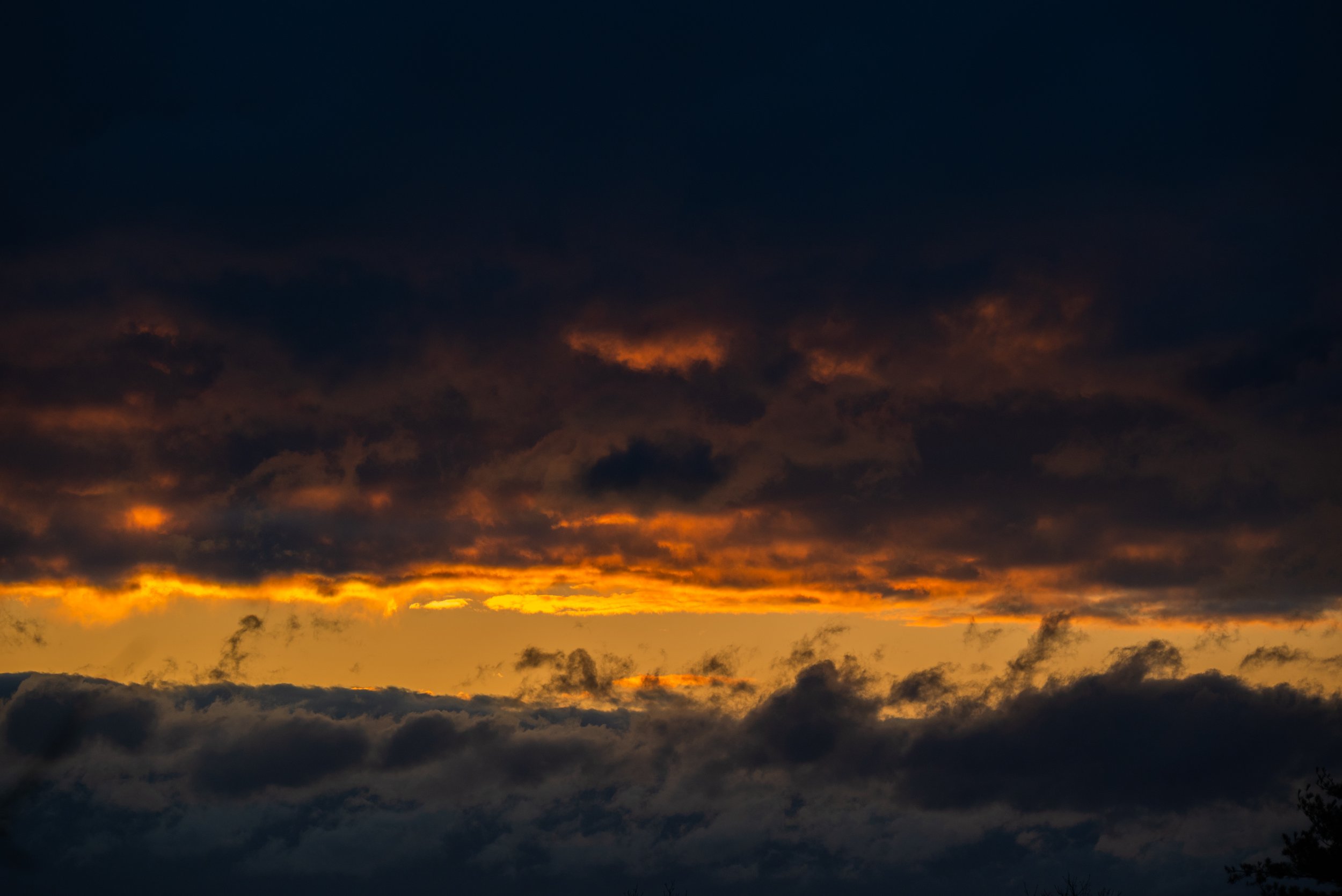 14_DSC_2784.jpg