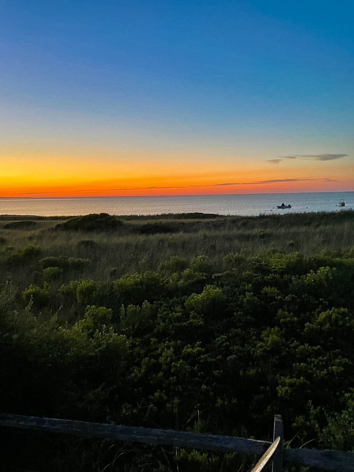 4_IMG_1119 copy.jpg
