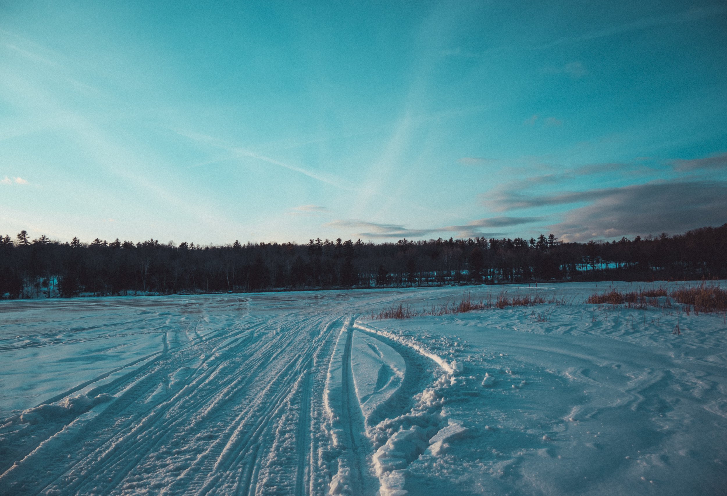 DSC_1677.jpg