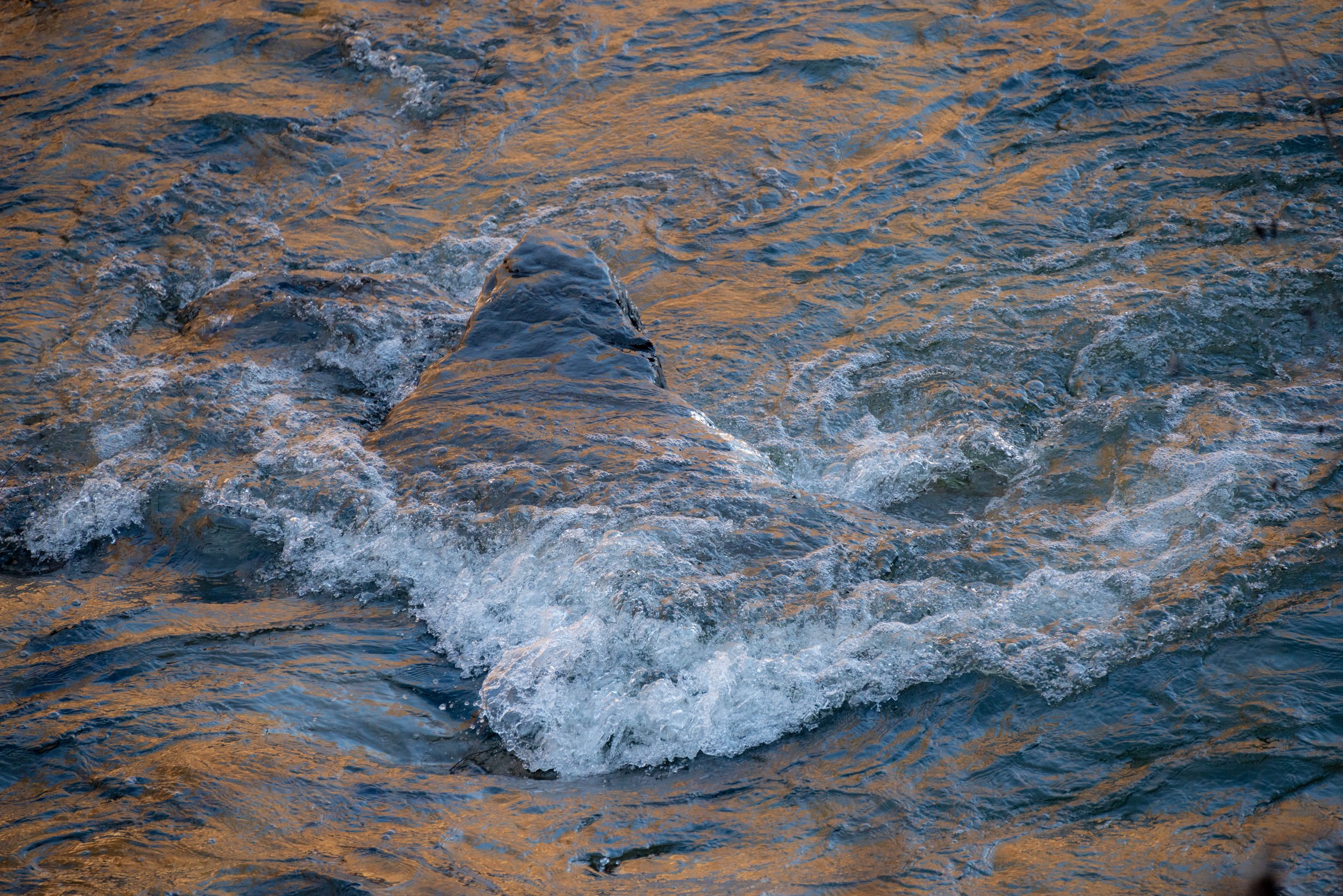 11_DSC_2118-2.jpg