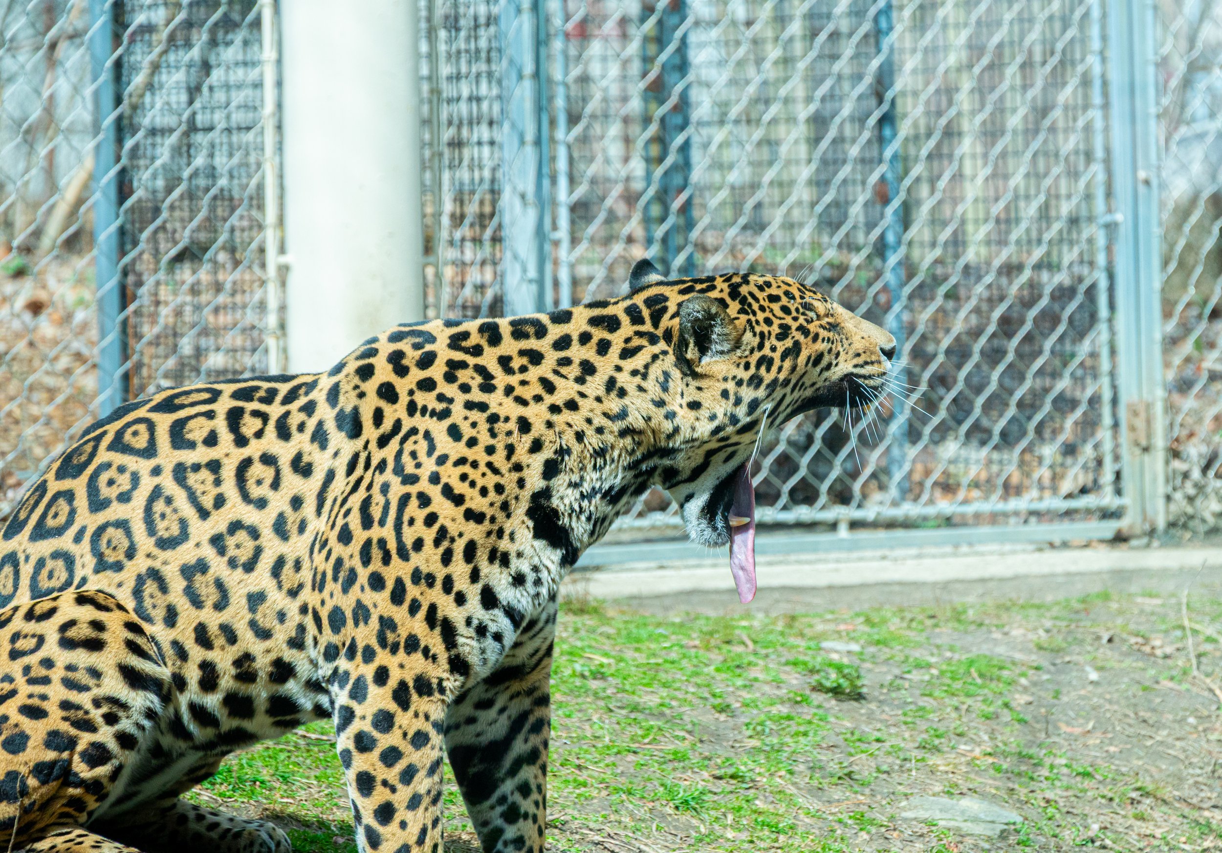 zoo 9.jpg