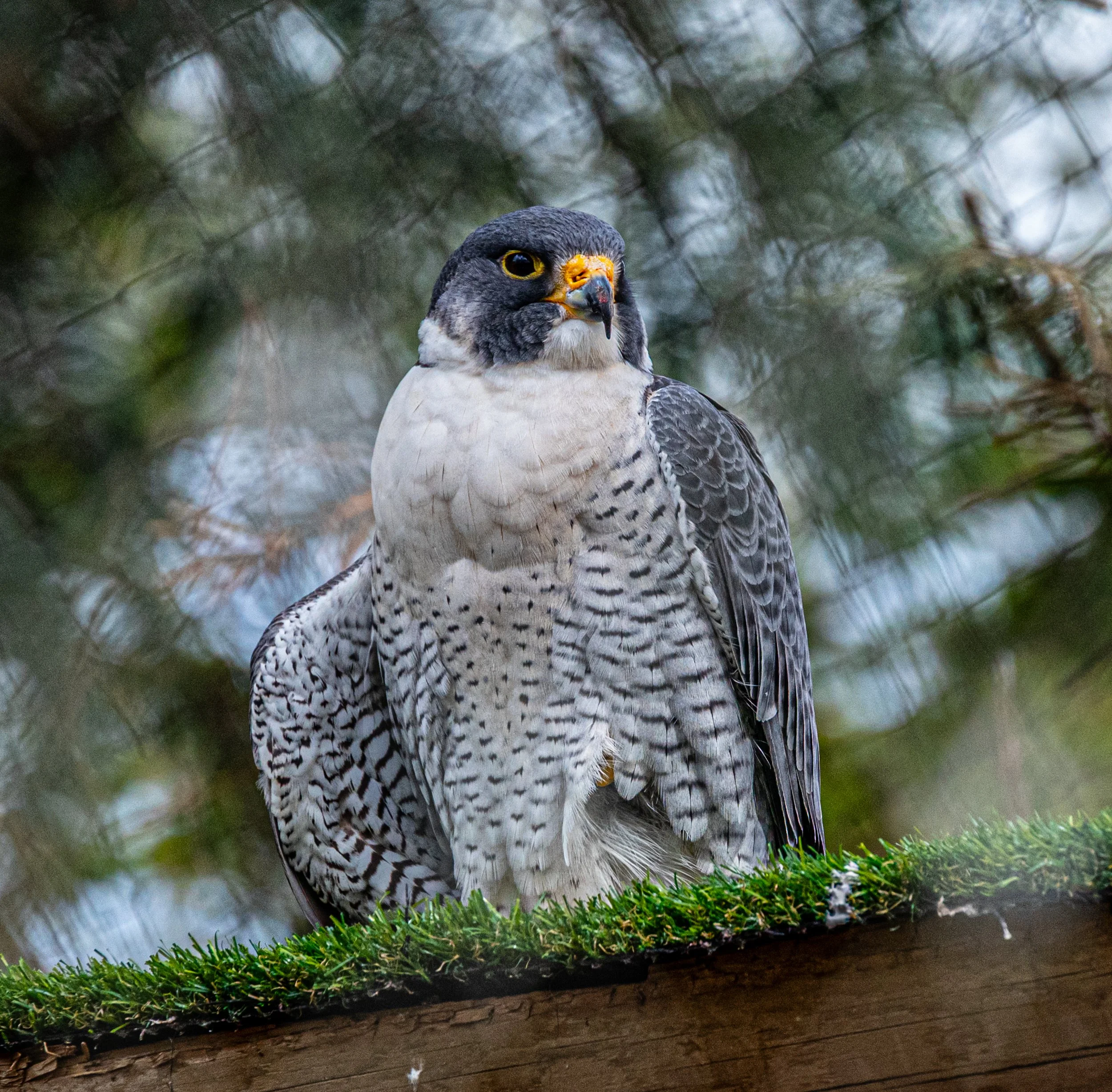 DSC_3577.jpg