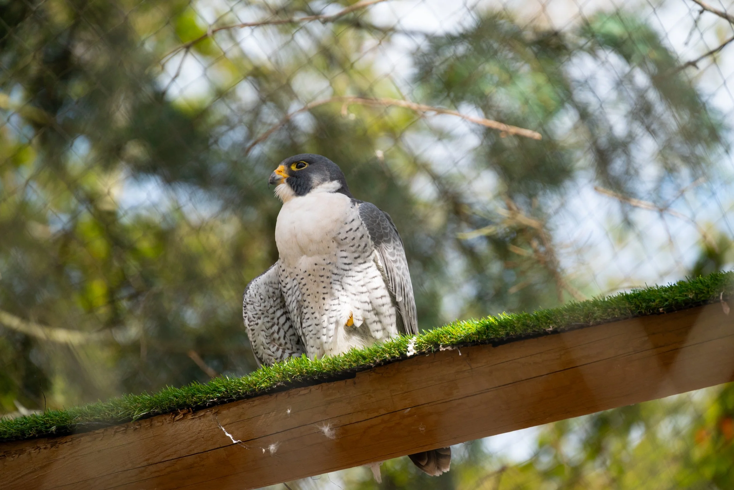 DSC_8988.jpg