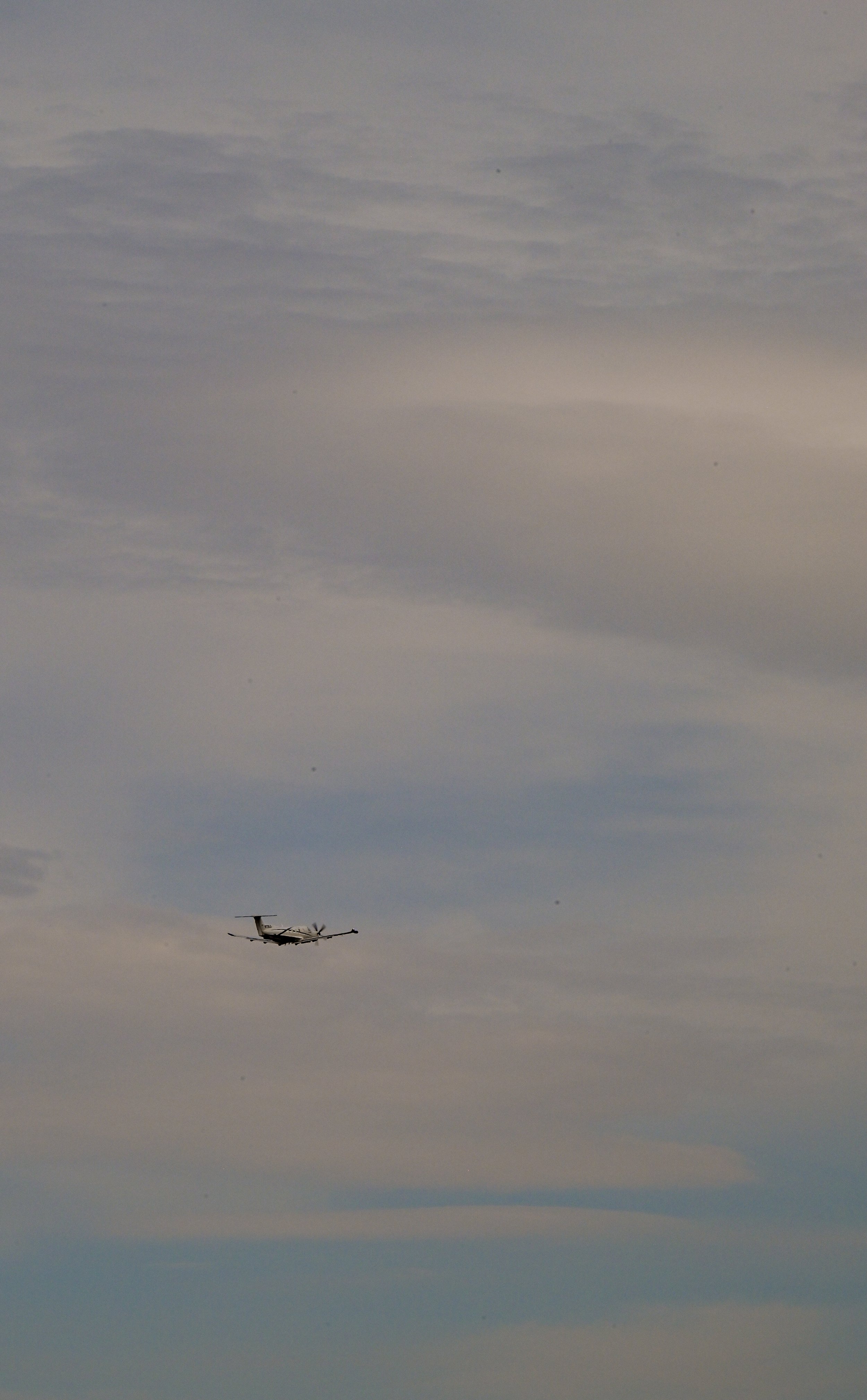 DSC_6785.jpg