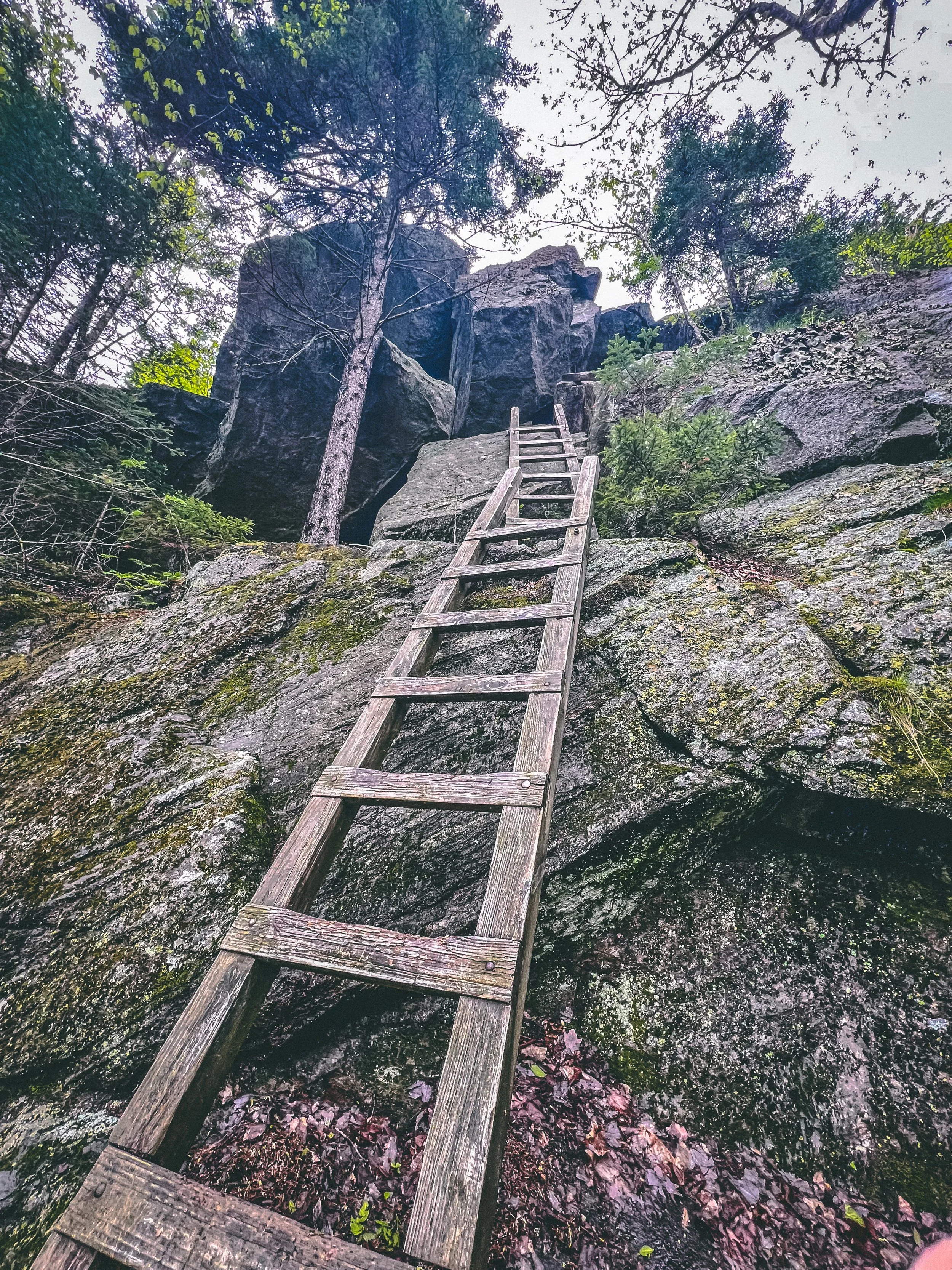 Nature 12.jpg