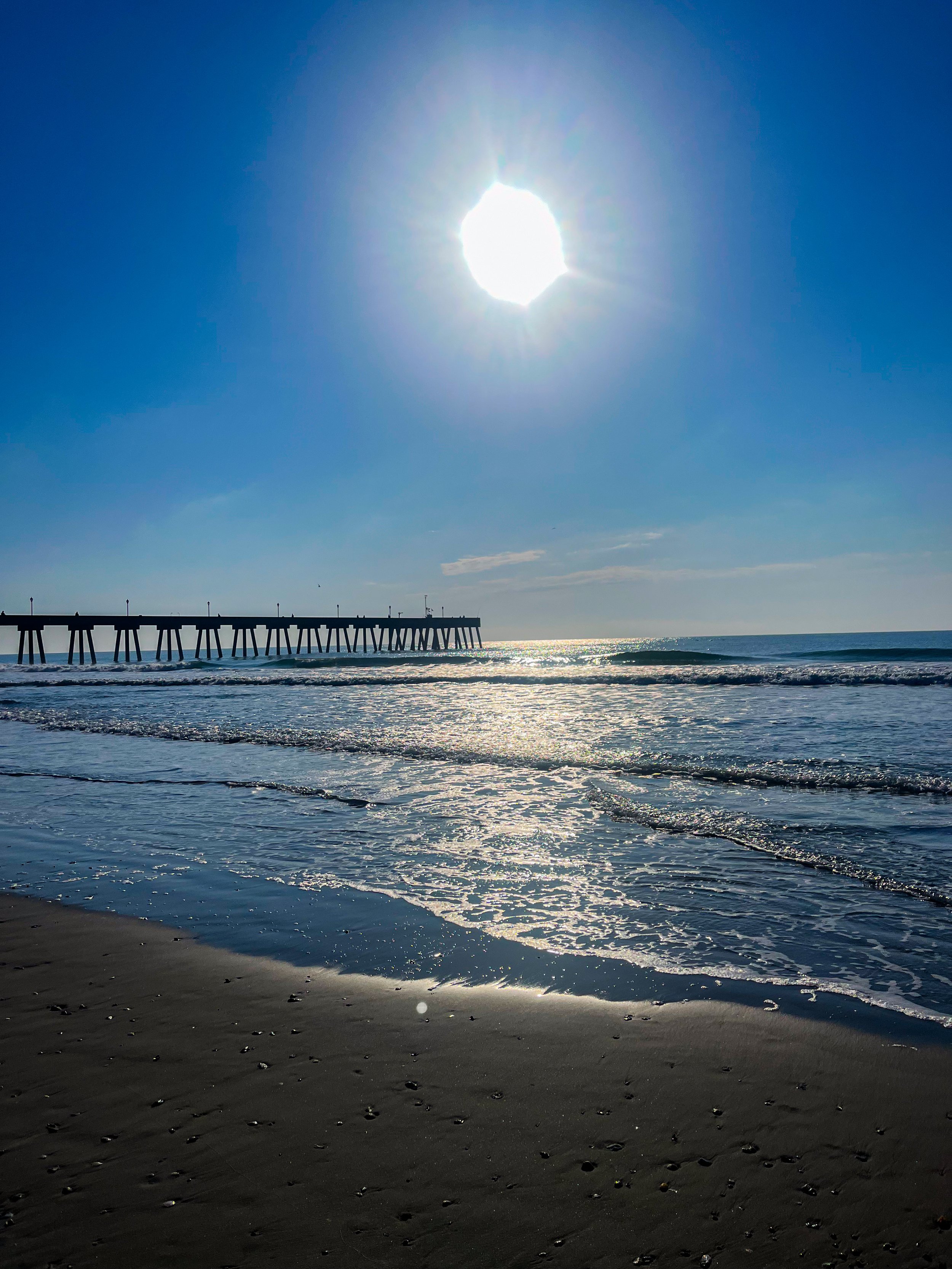 8_IMG_7303 copy.jpg