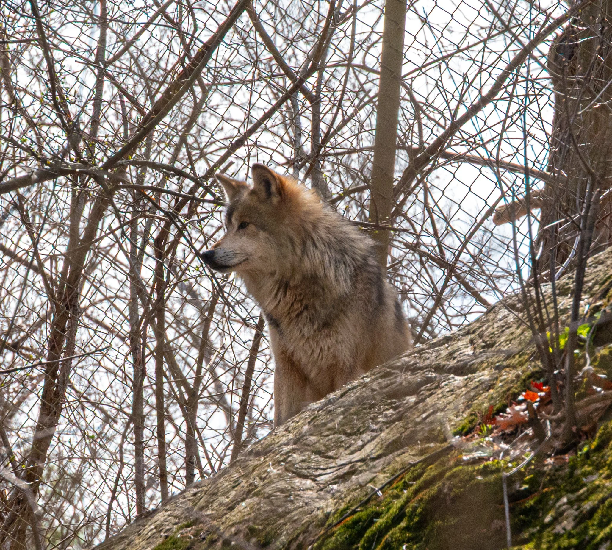 DSC_3632.jpg