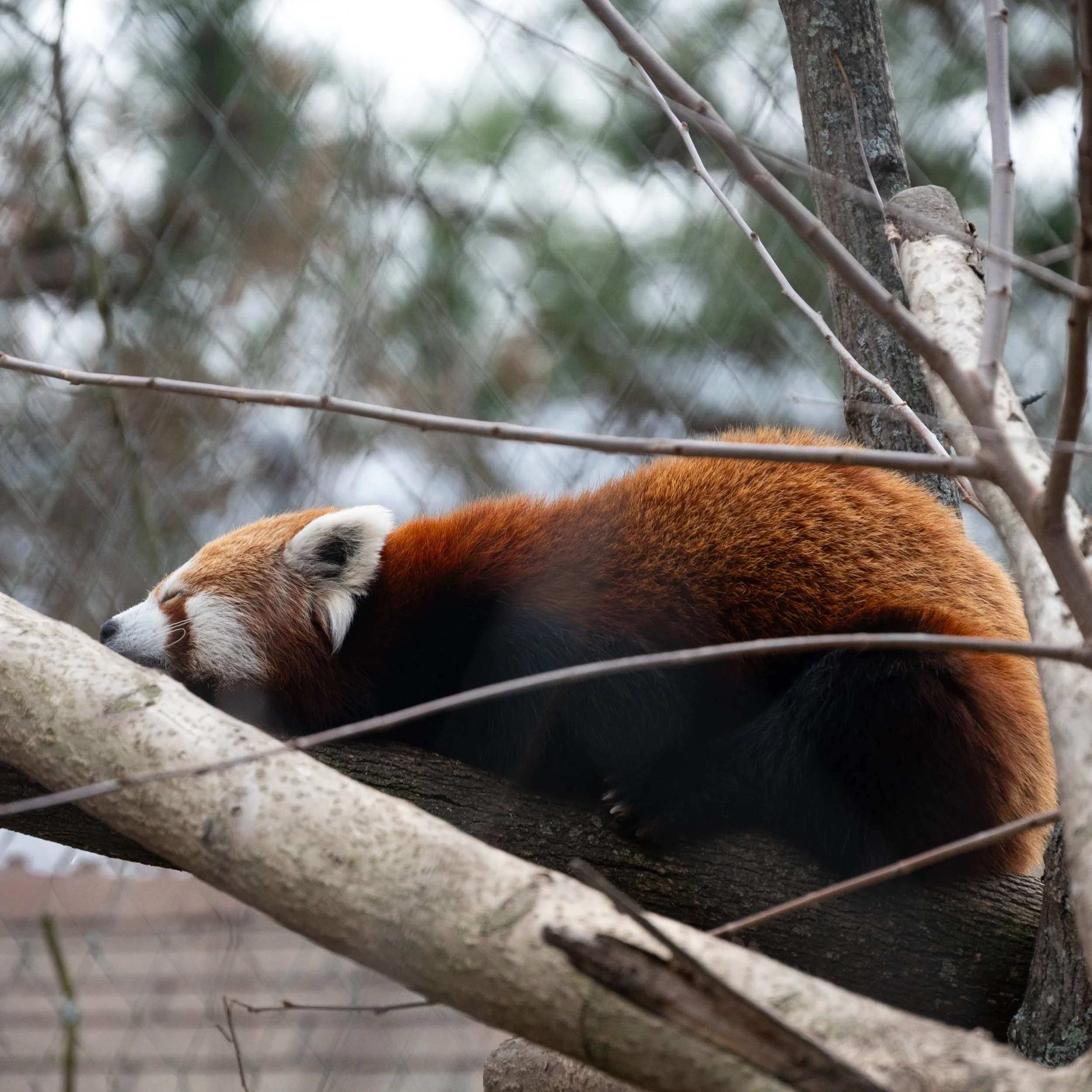 DSC_6548.jpg
