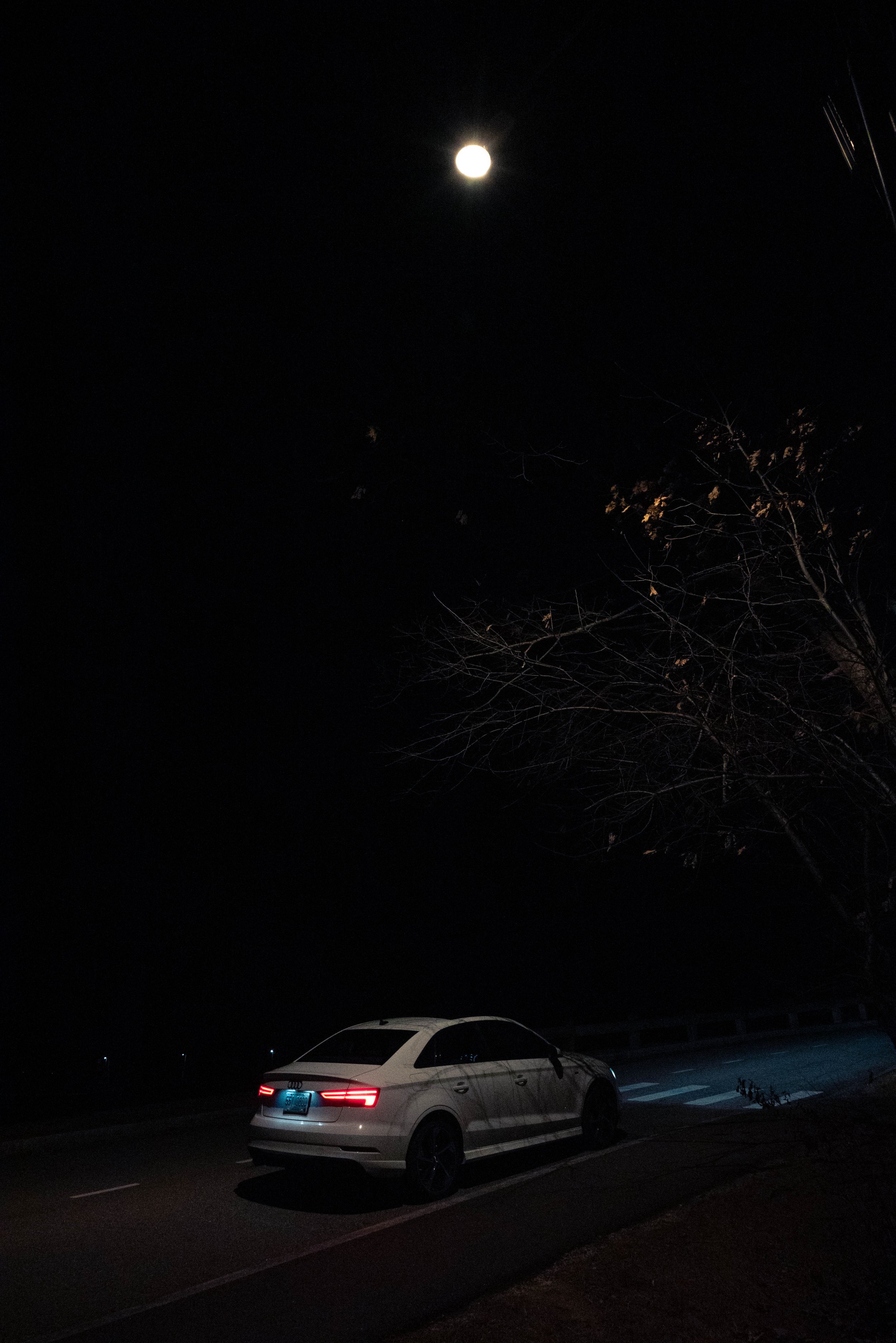 DSC_1784.jpg