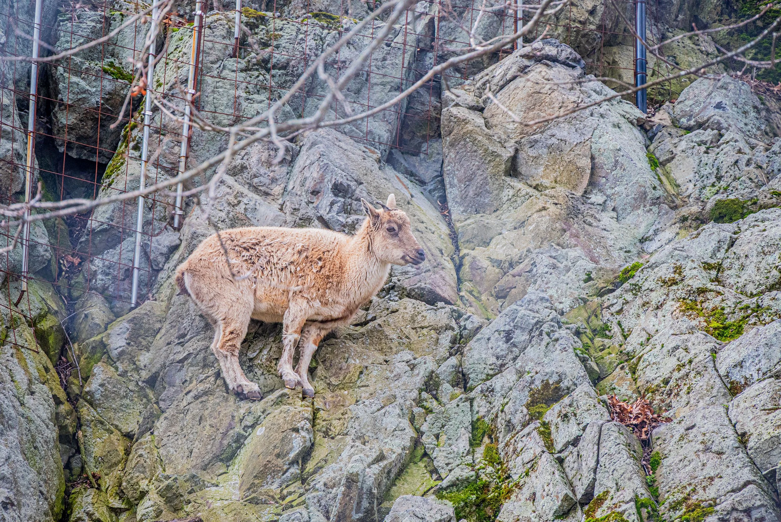 zoo 14.jpg