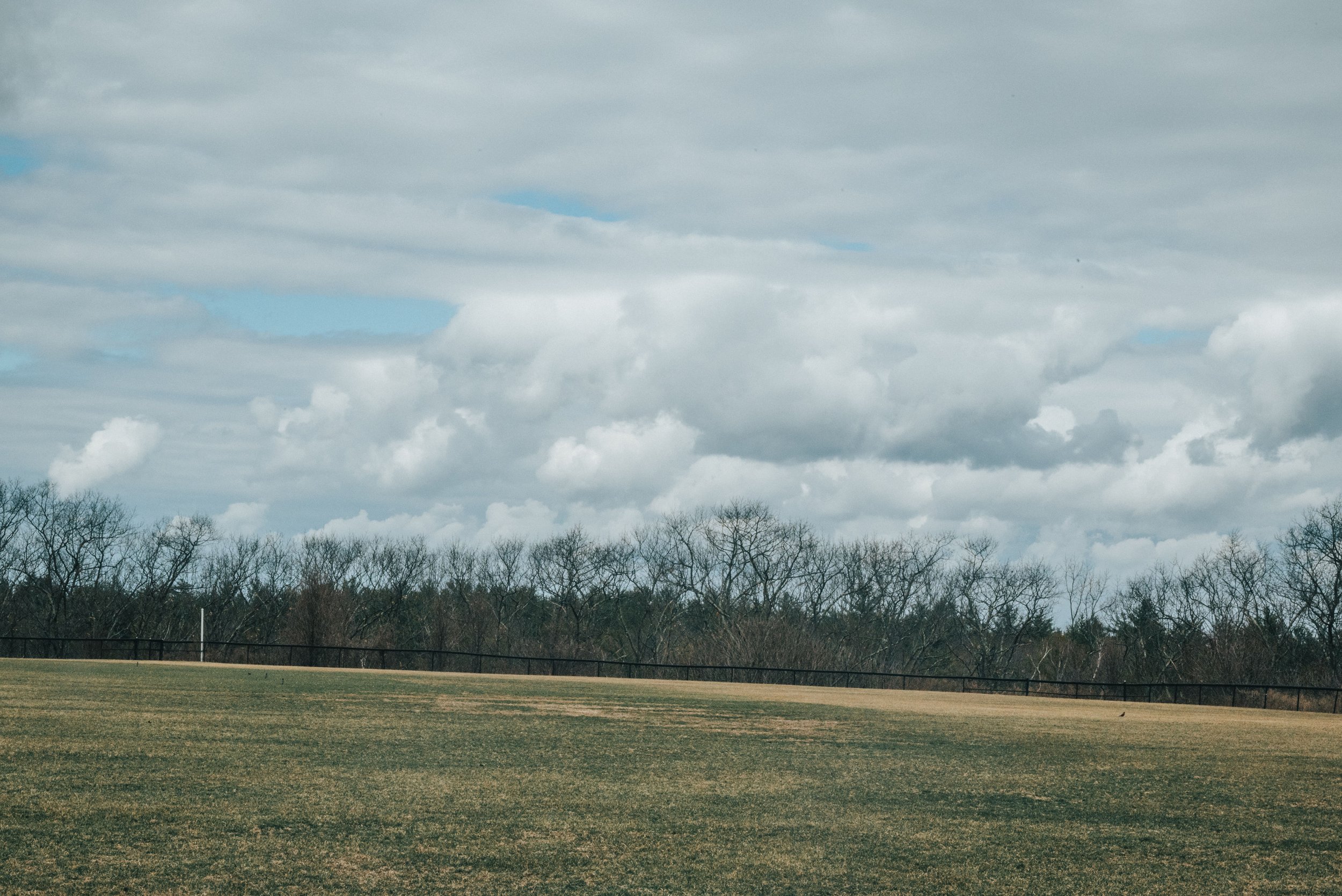 DSC_4351.jpg