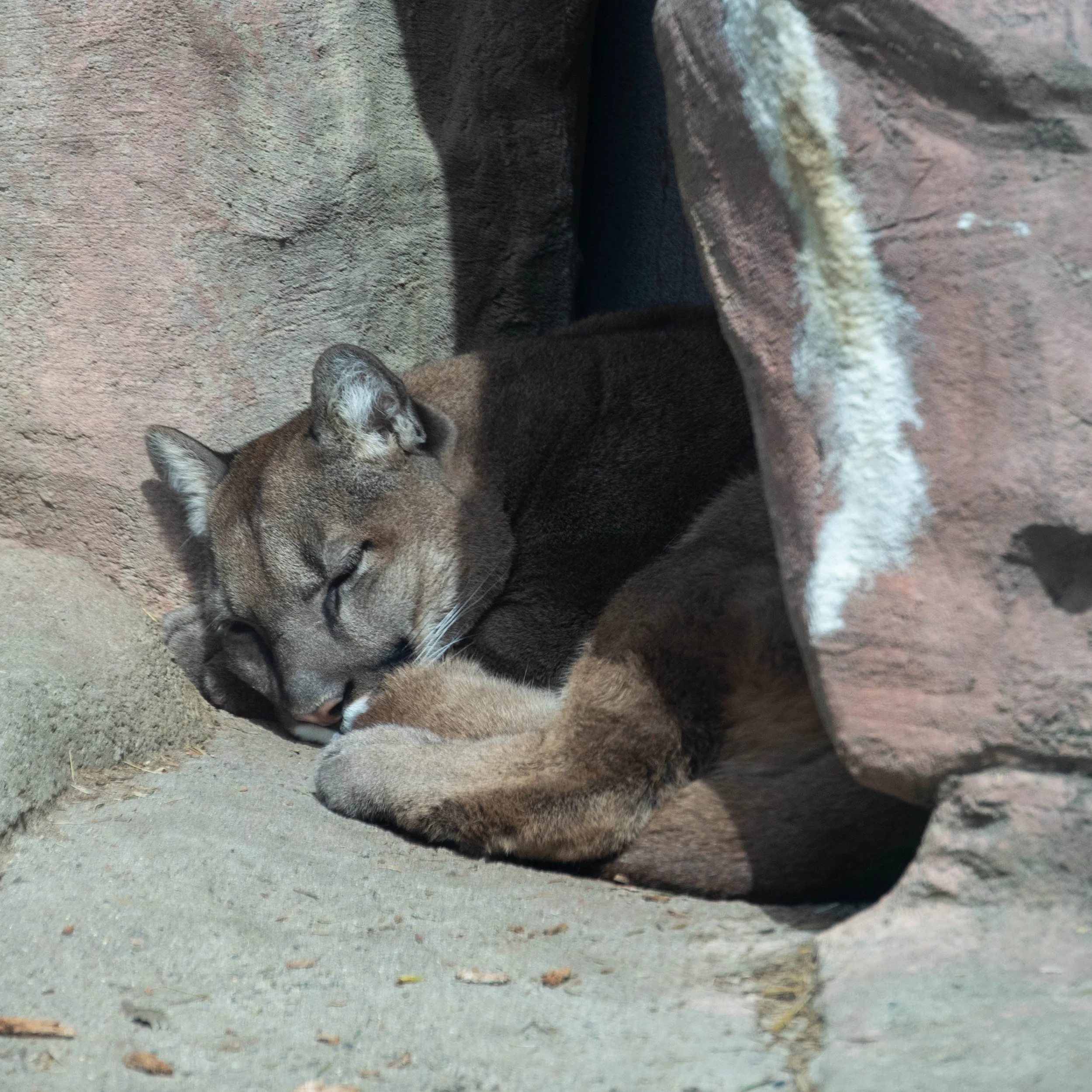 DSC_6558.jpg