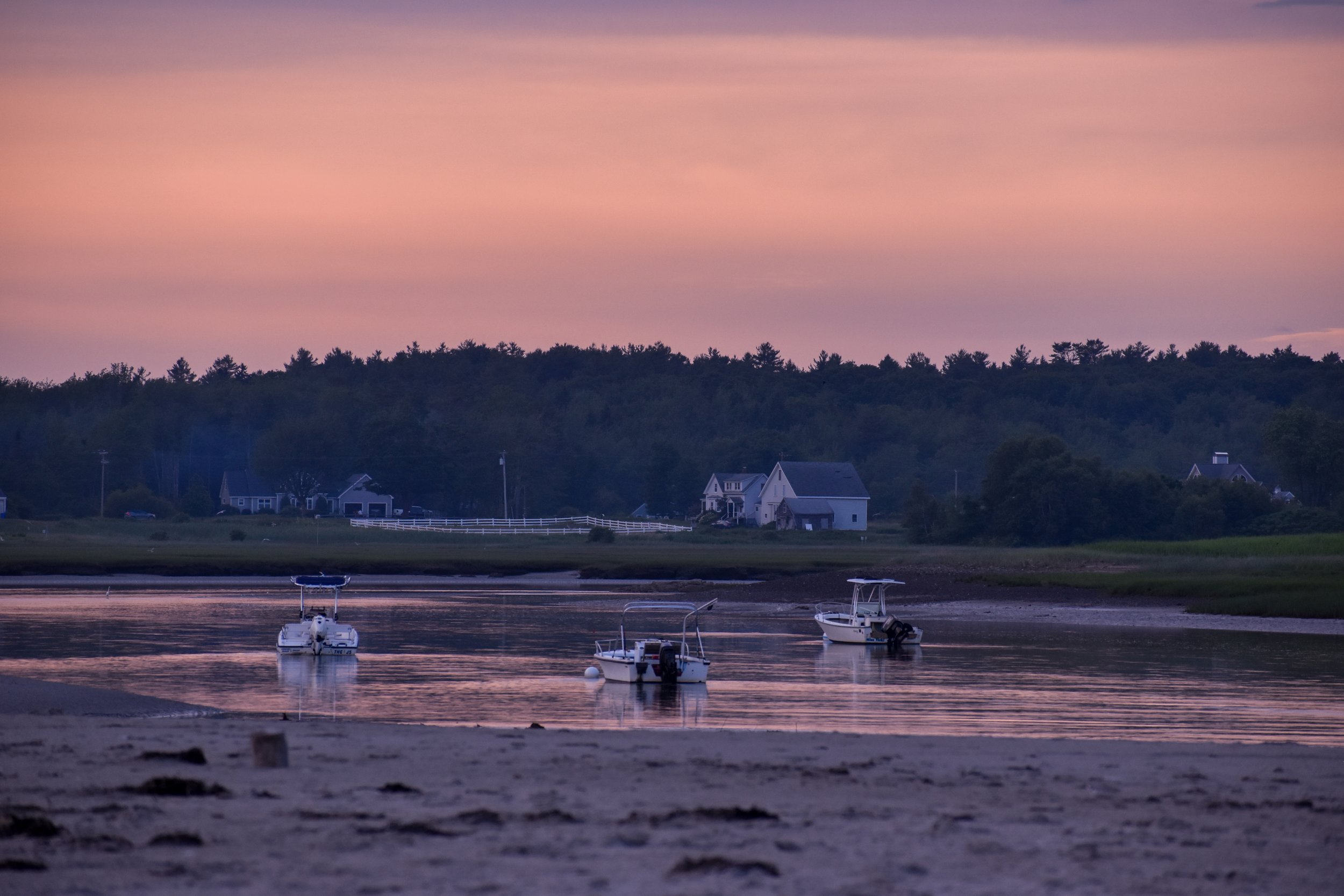 DSC_0975.jpg