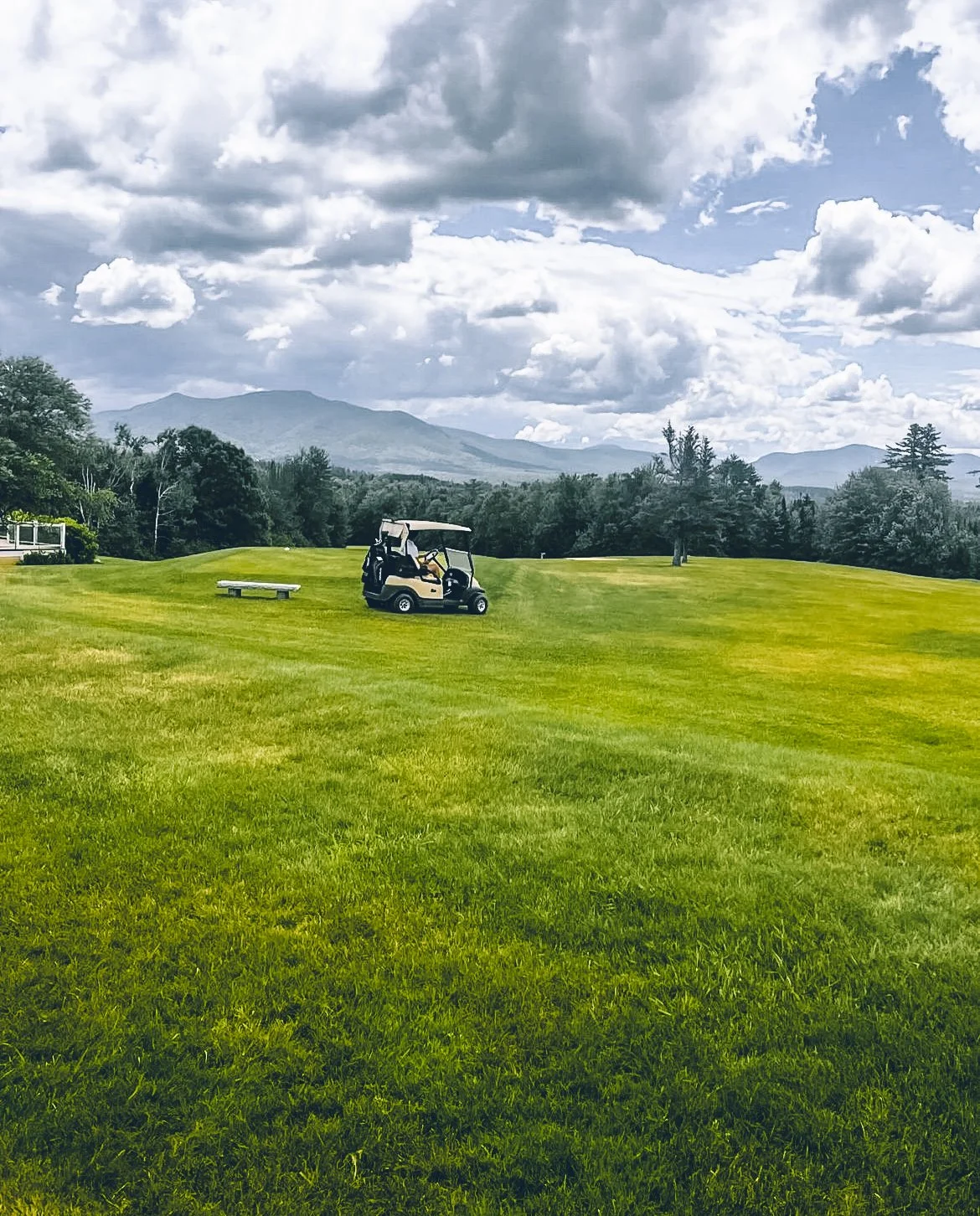 Golf Cart-2.jpg