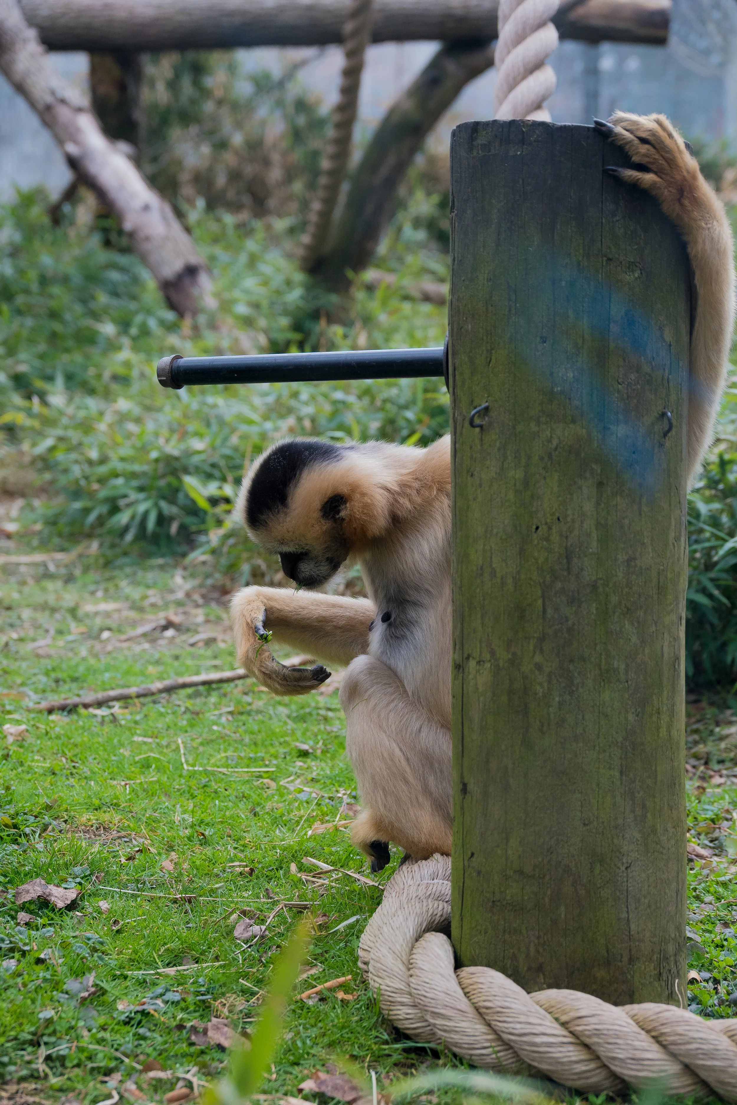 DSC_0971.jpg