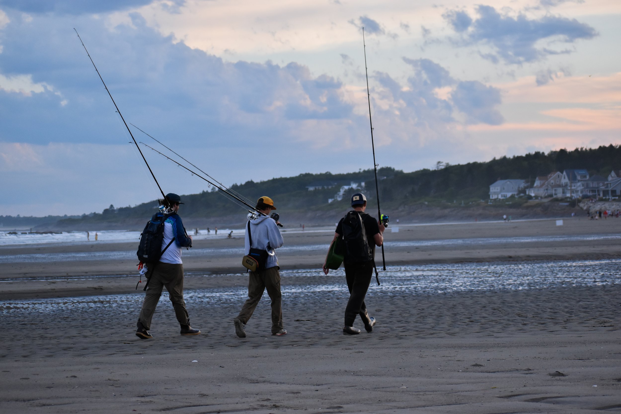 14 DSC_0928.jpg