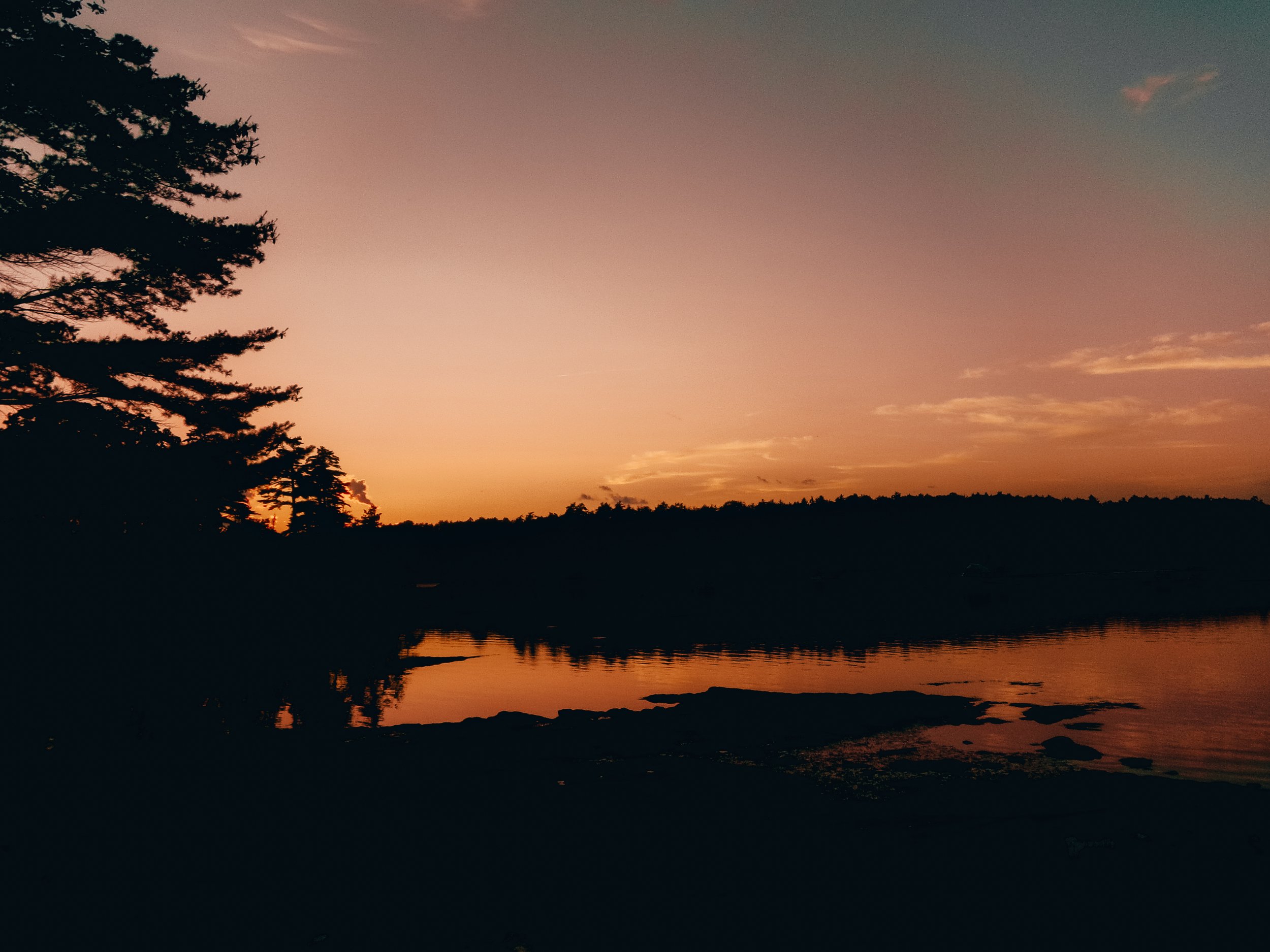 100_0413.jpg