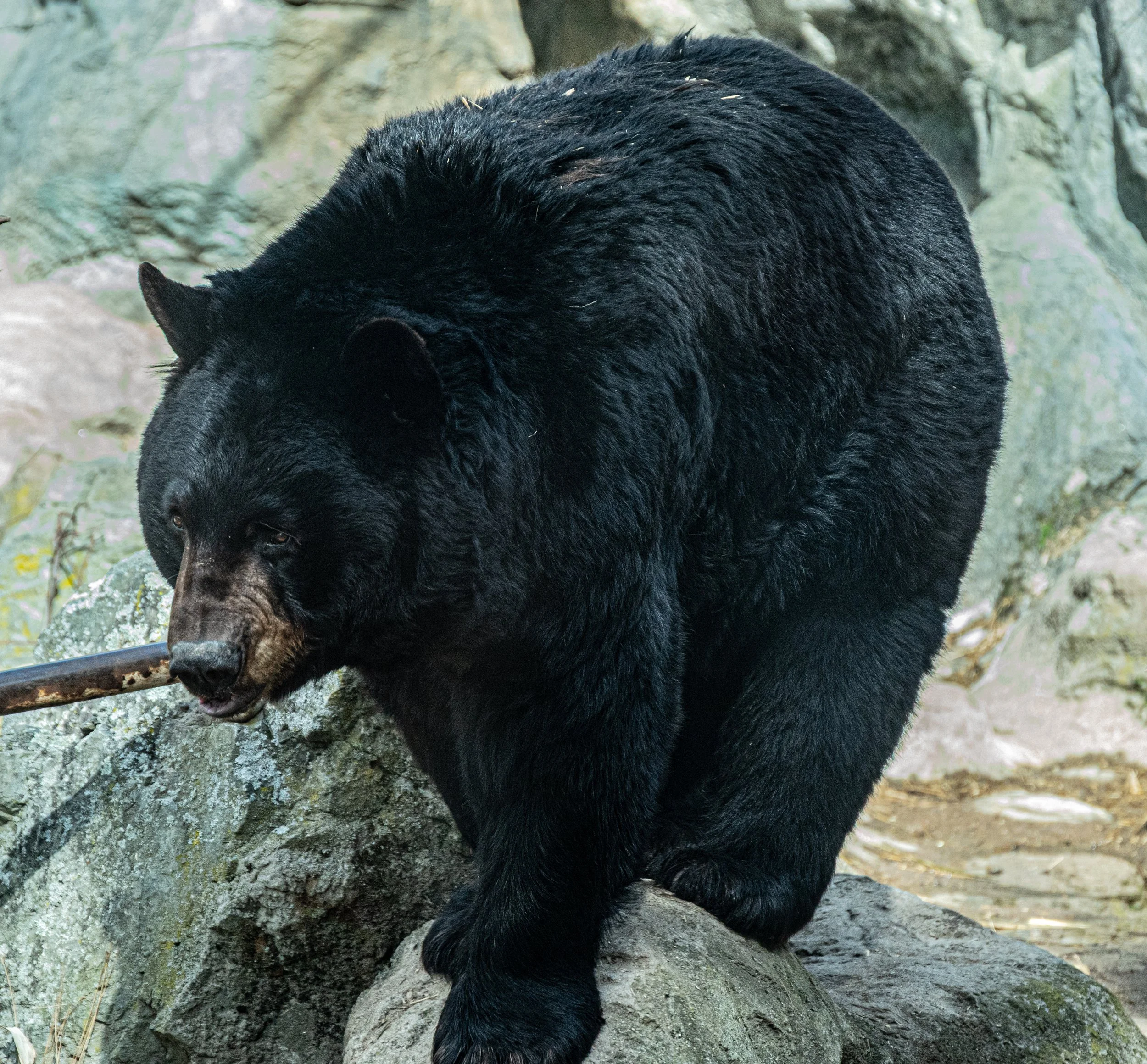 DSC_3573.jpg
