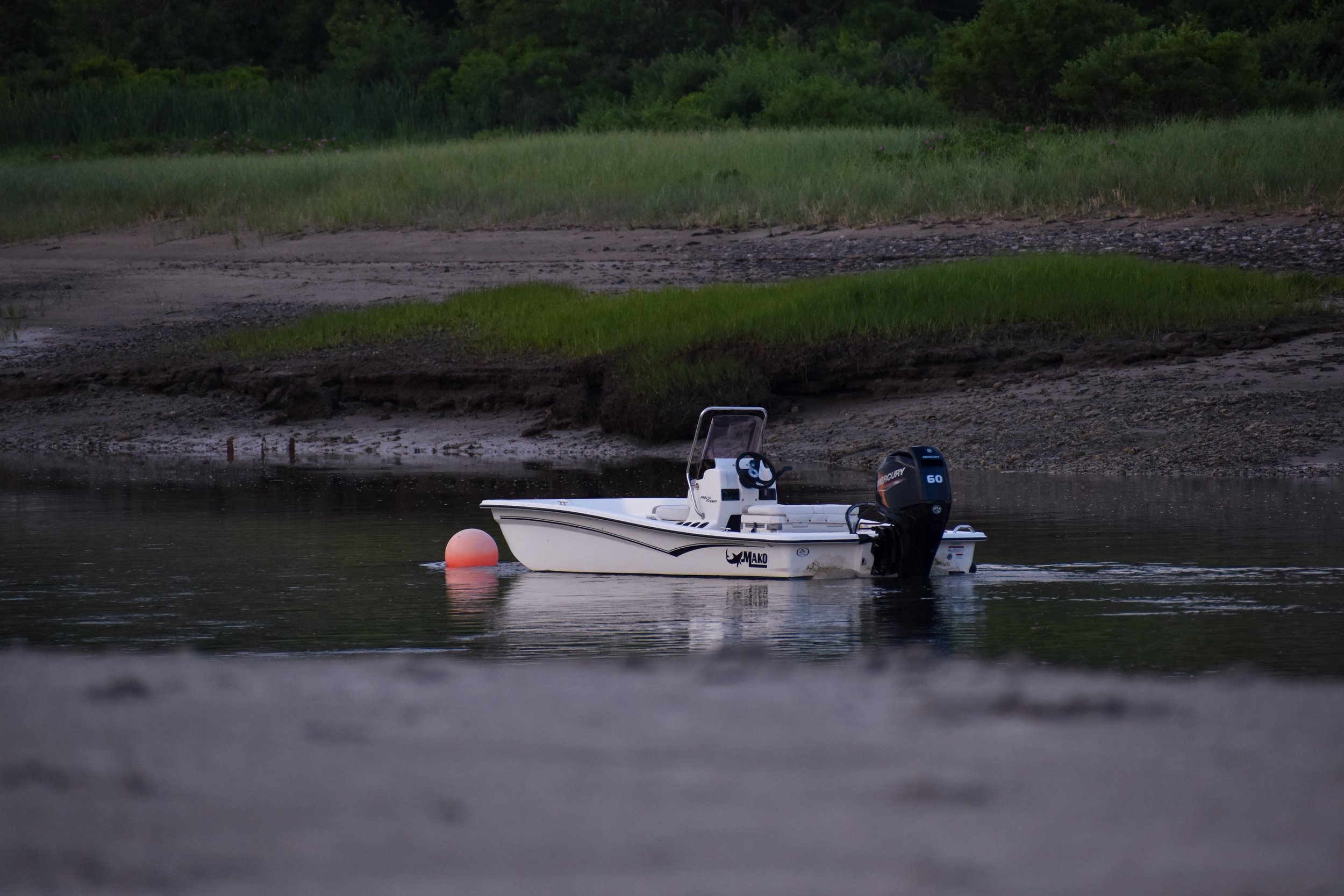 DSC_0977.jpg