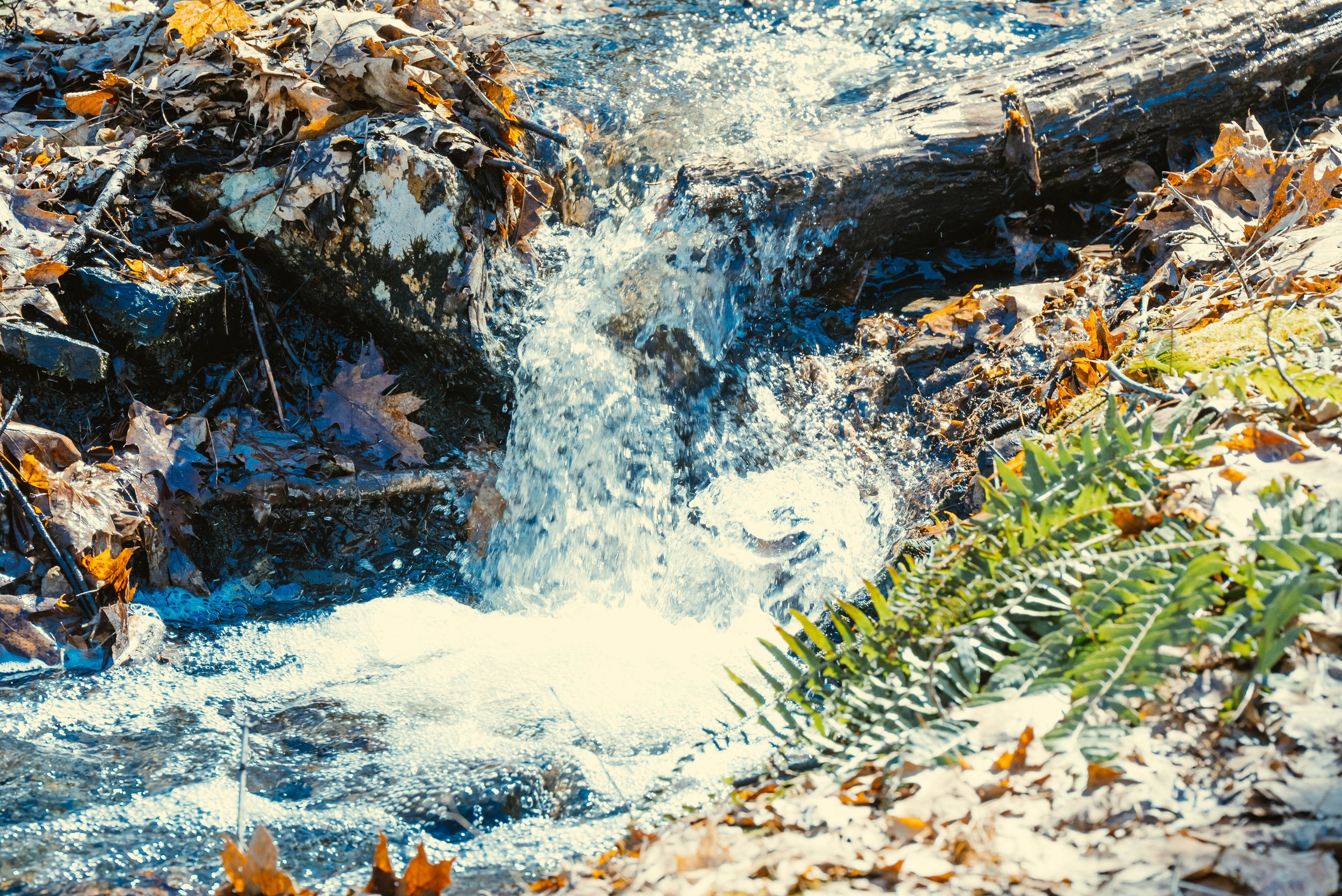 DSC_0171.jpg