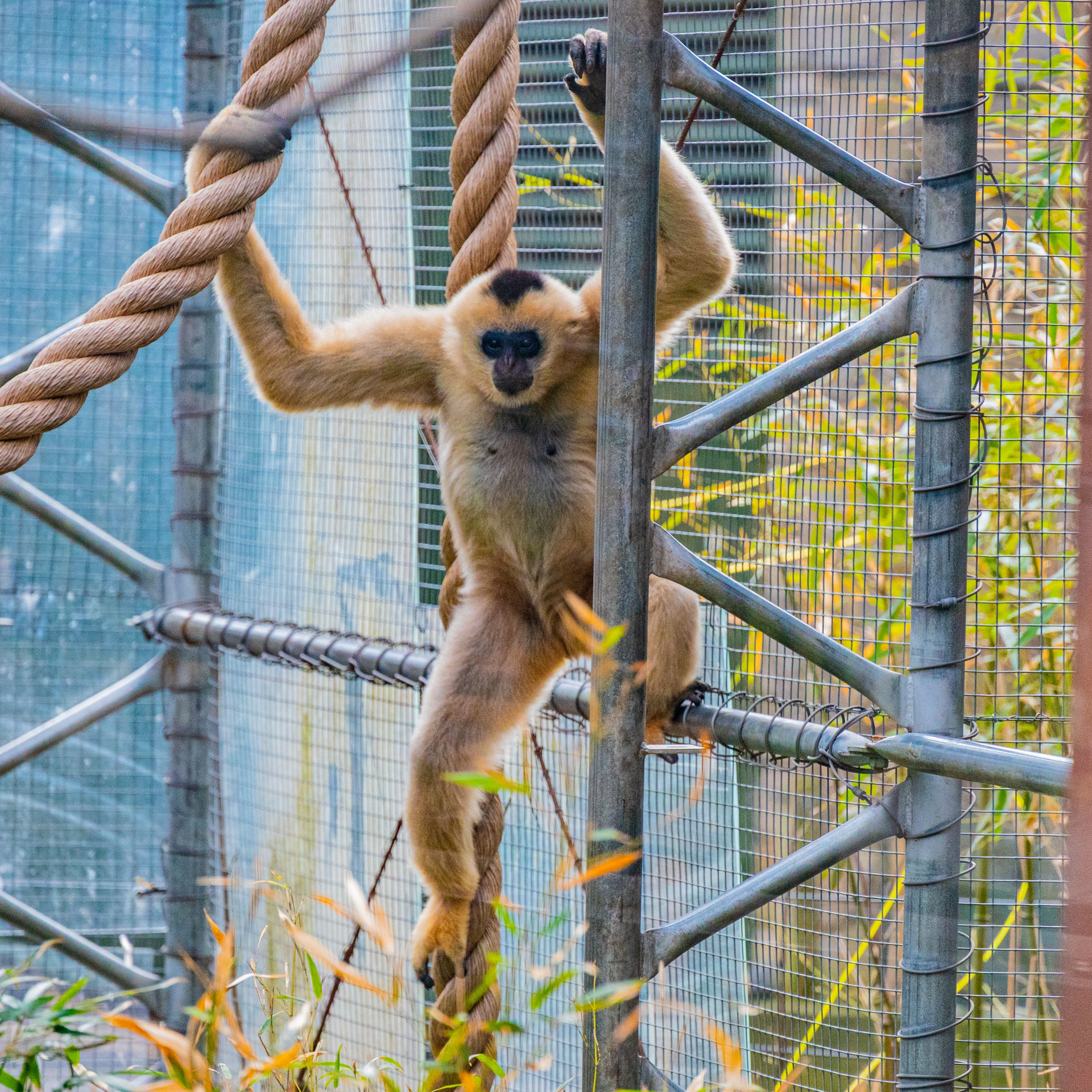 zoo 22.jpg