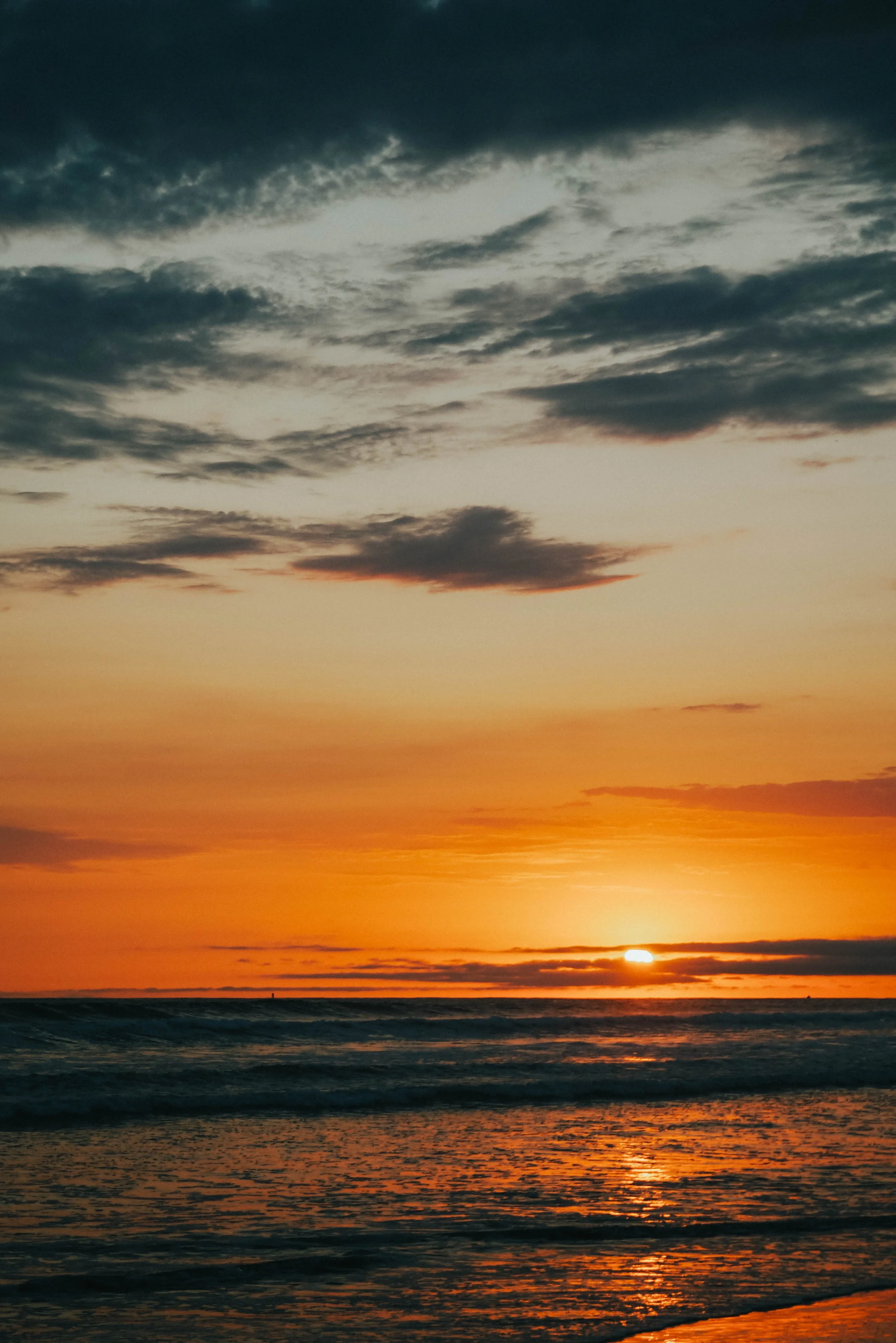 Riley Sawyer Southern CA